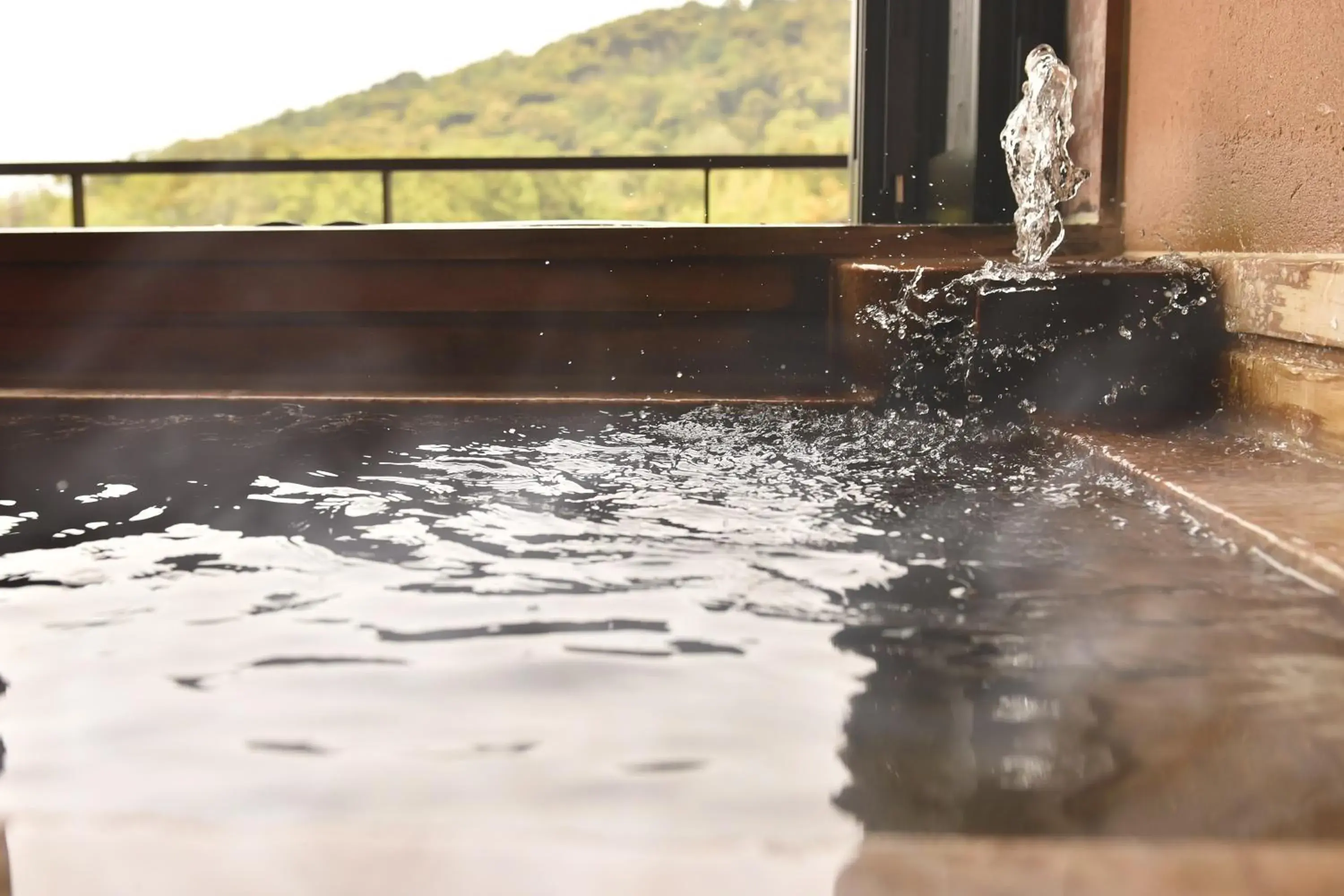 Tokiwa Junior Suite - single occupancy in Hanayashiki Ukifune-en Tokiwa Junior Suite - single occupancy in Hanayashiki Ukifune-en