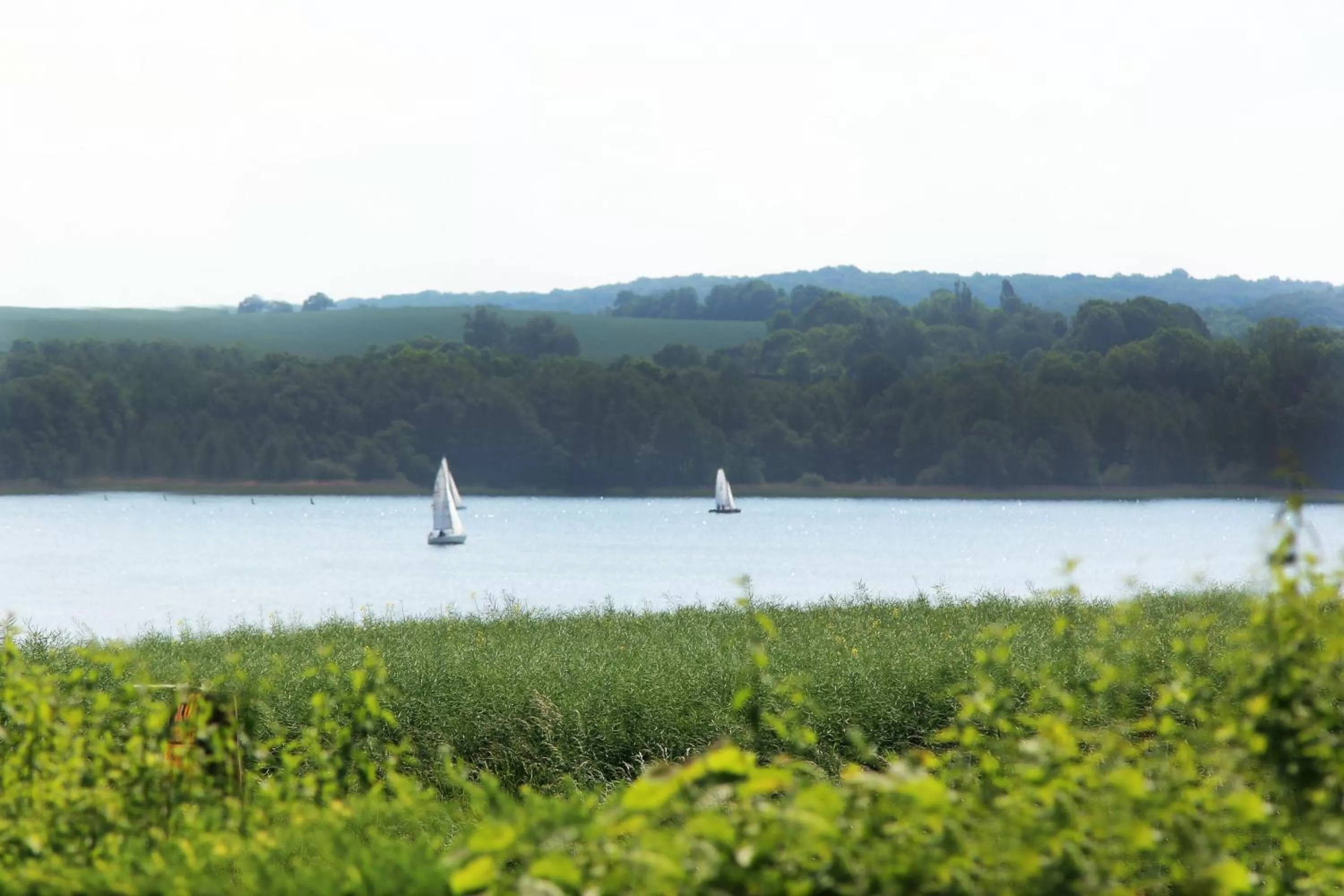 View (from property/room) in Nobis Krug