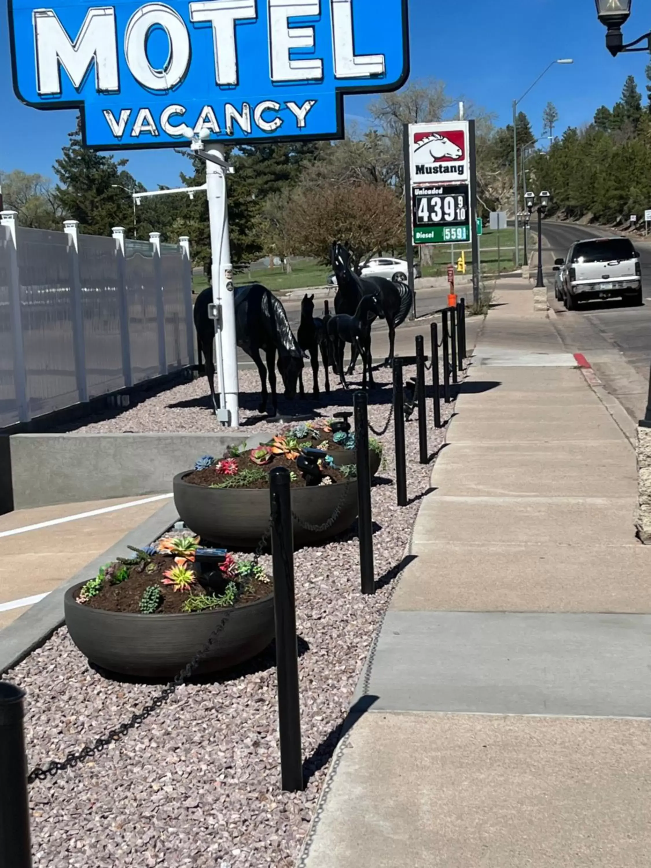 Garden in El Rancho Motel