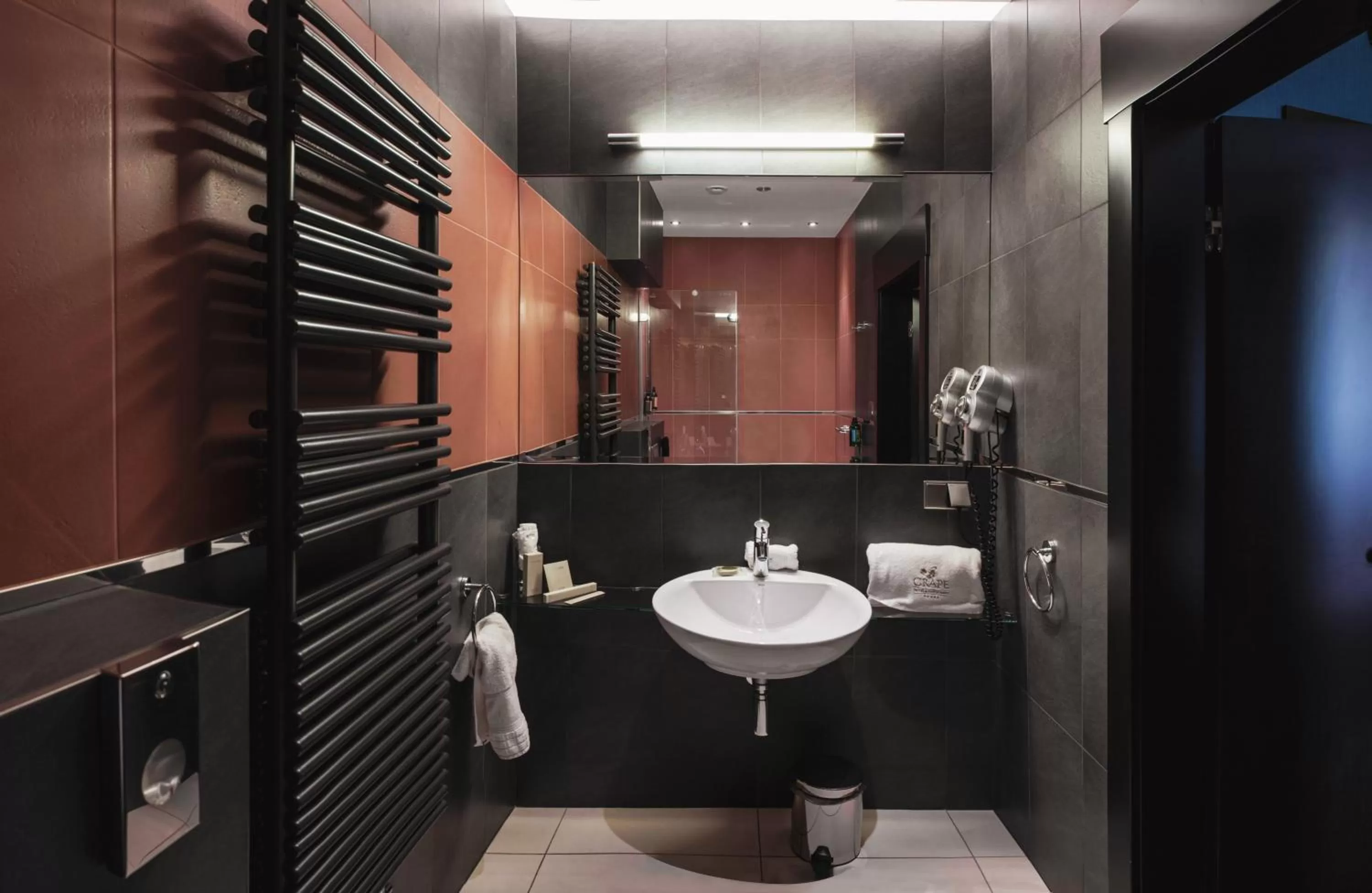 Shower, Bathroom in Grape Hotel