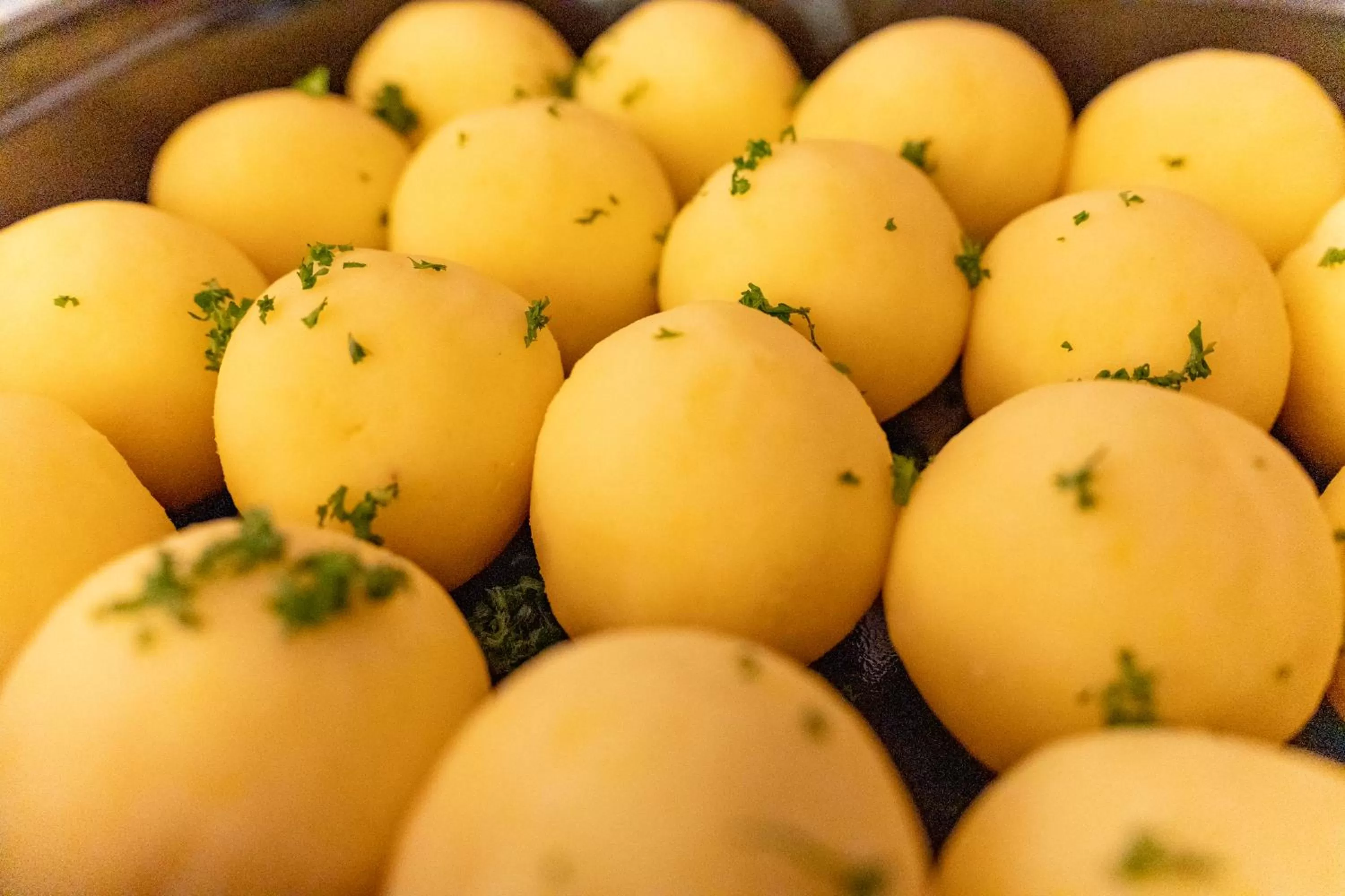 Restaurant/places to eat in Hotel Thüringenschanze