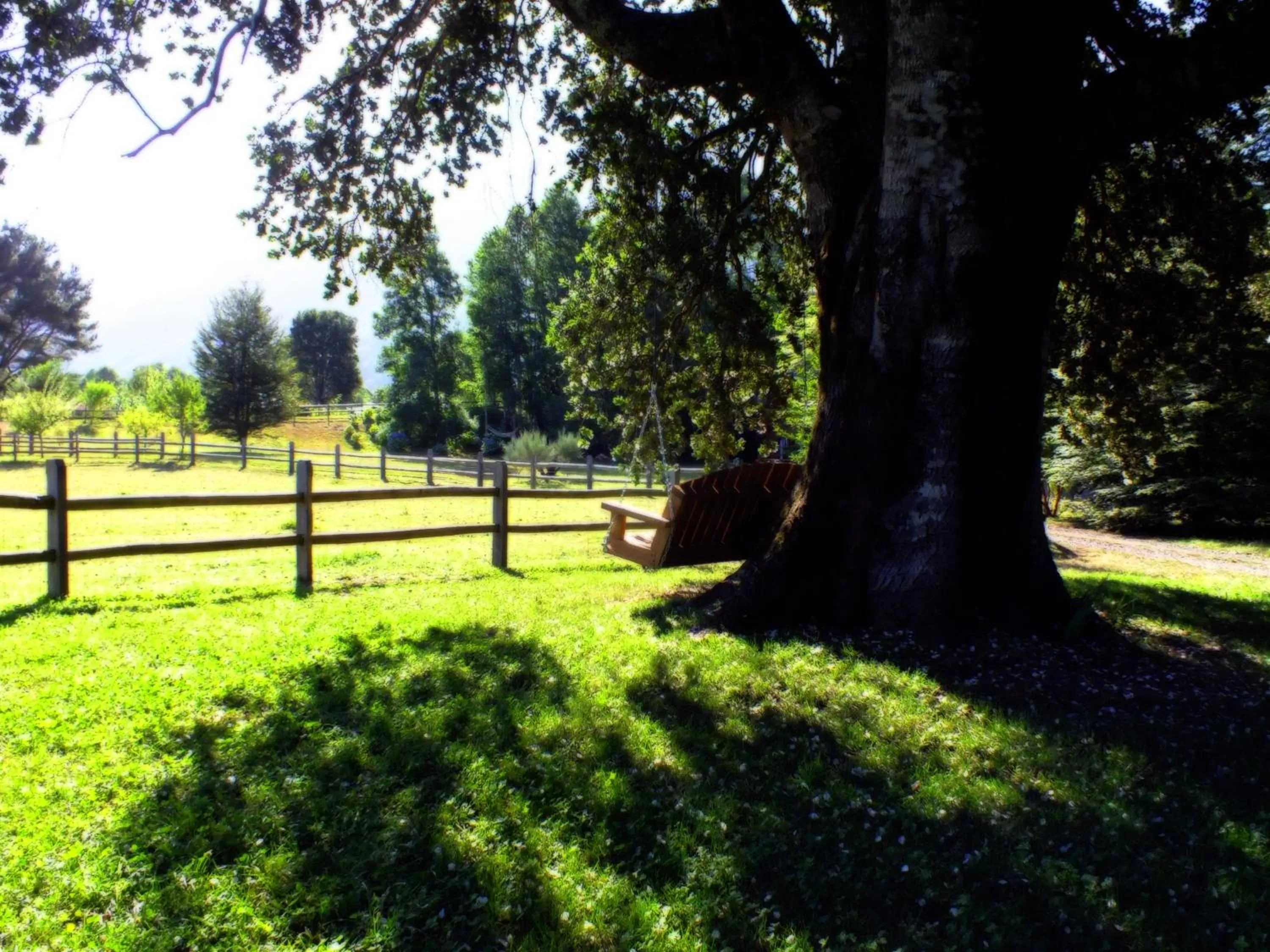 Garden in Hotel Salto del Carileufu