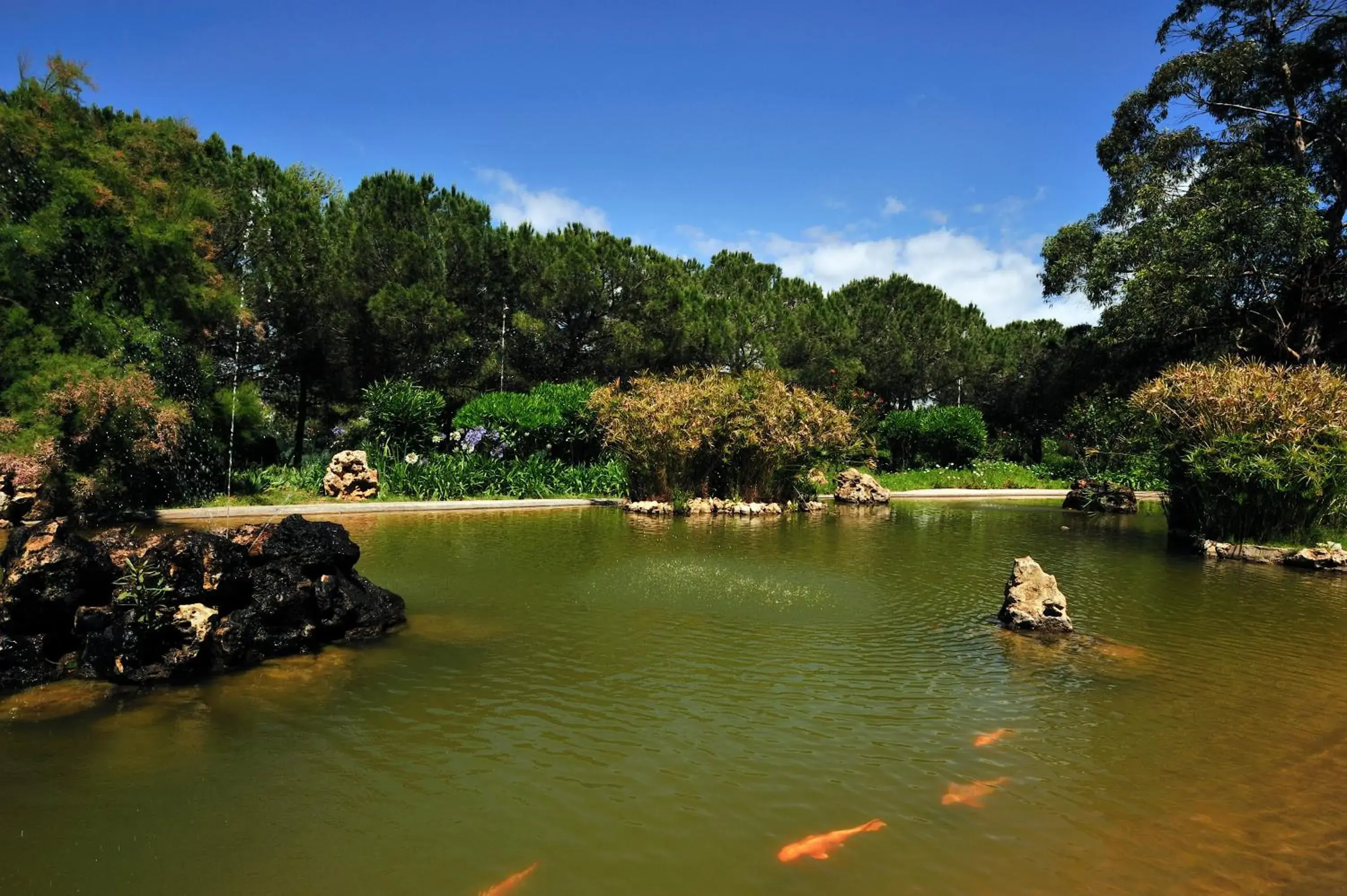 Garden in Pestana Delfim Beach & Golf Hotel