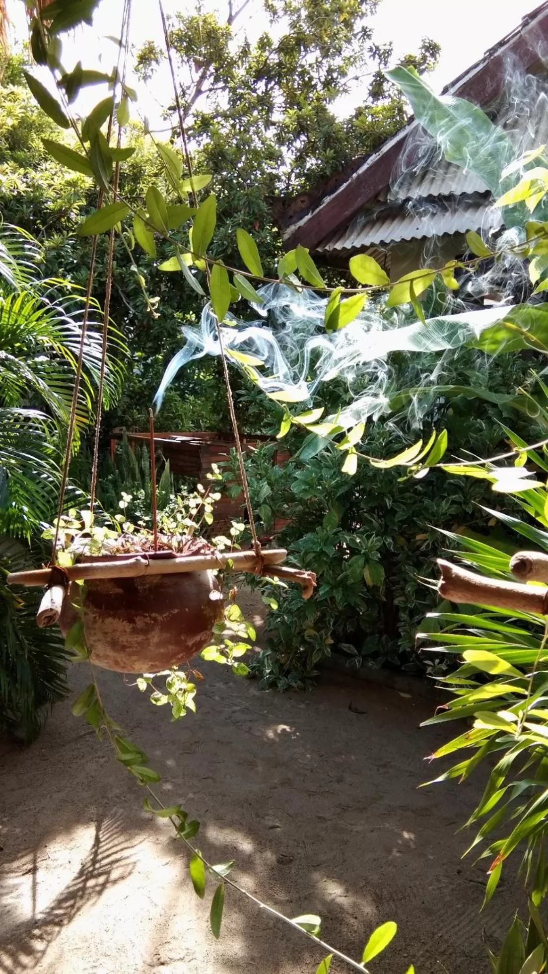 Garden in Café des Arts Gili Air