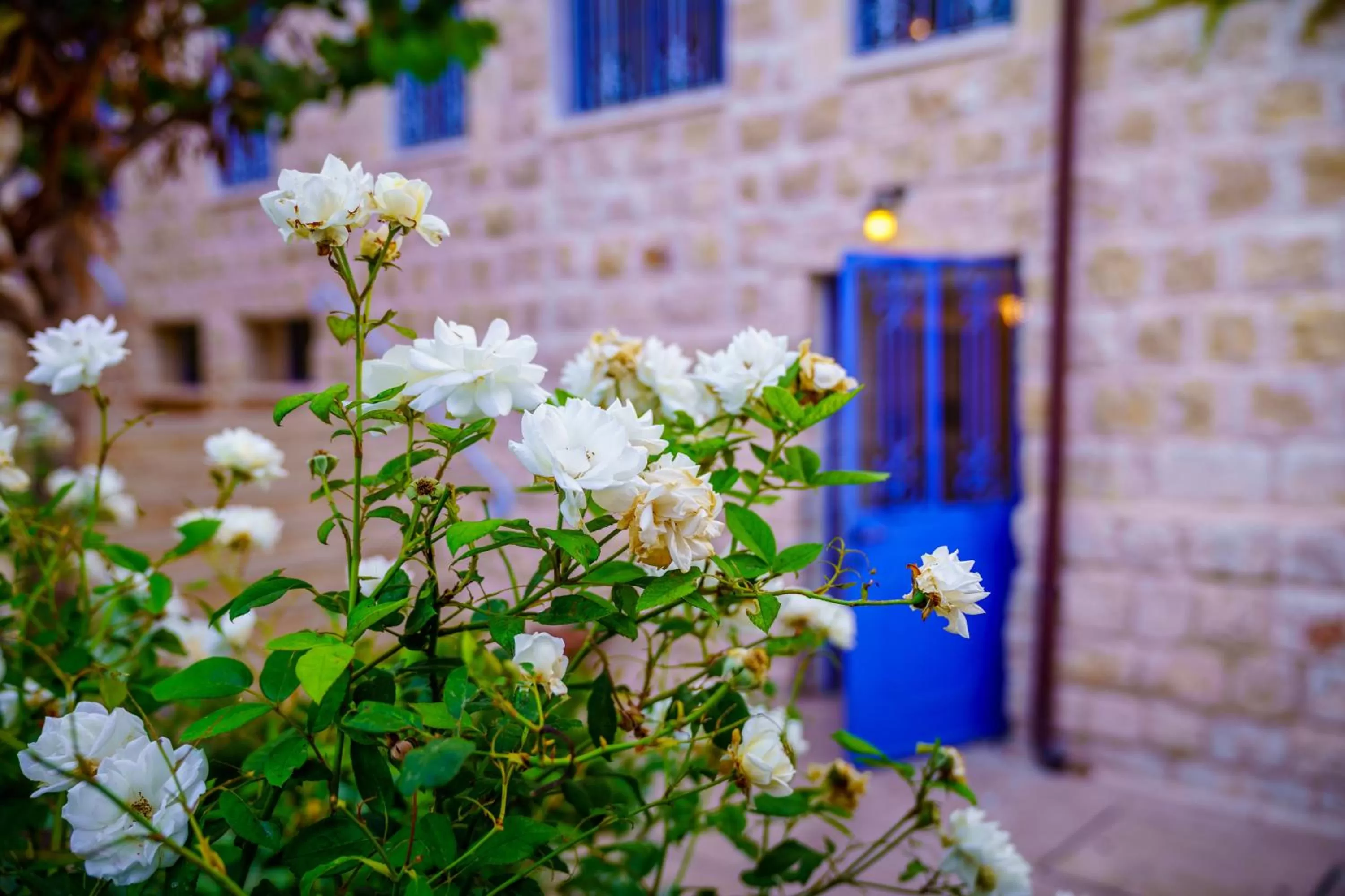 Spring in The Way Inn - Boutique Suites