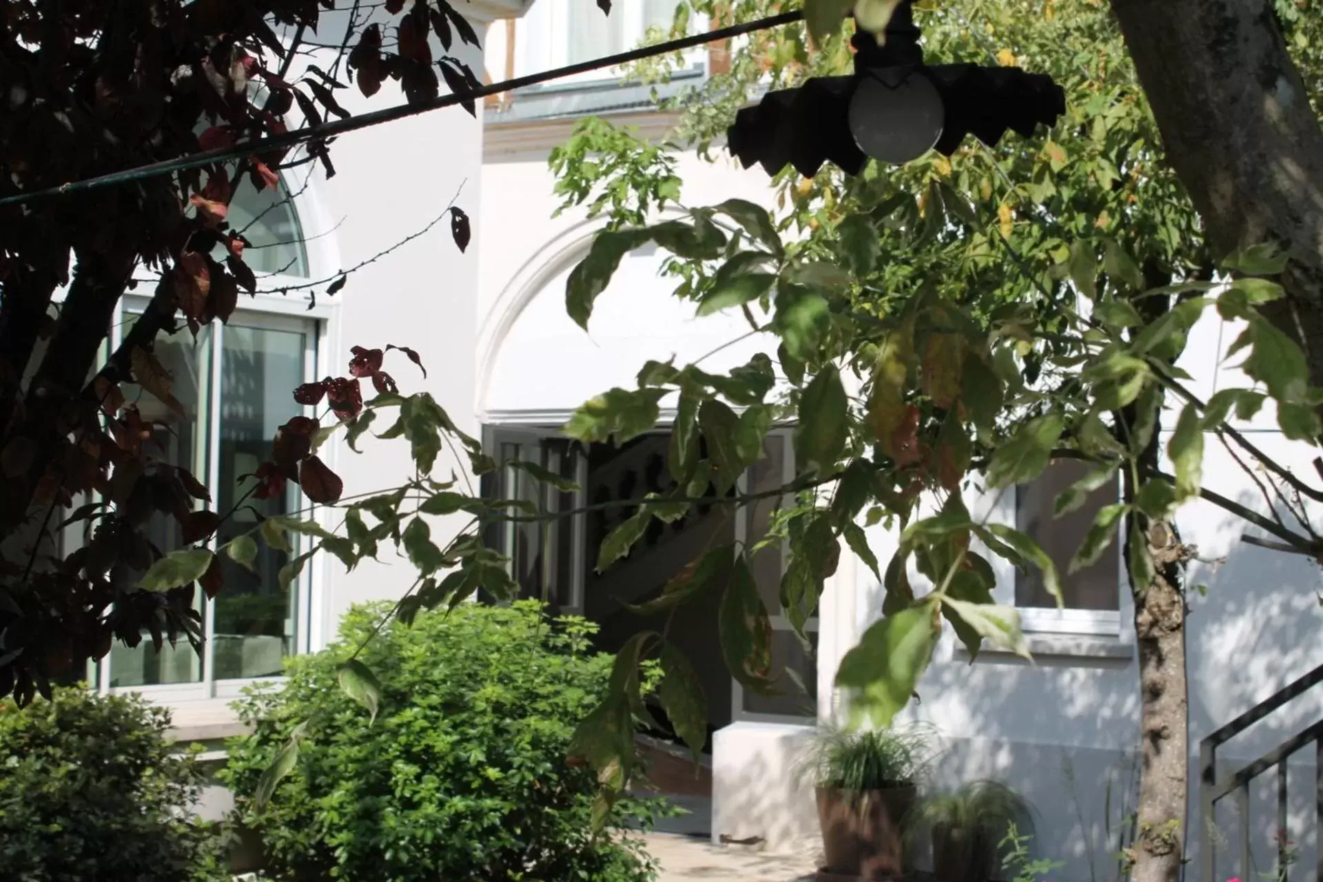 Garden in Hôtel jardin Le Pasteur