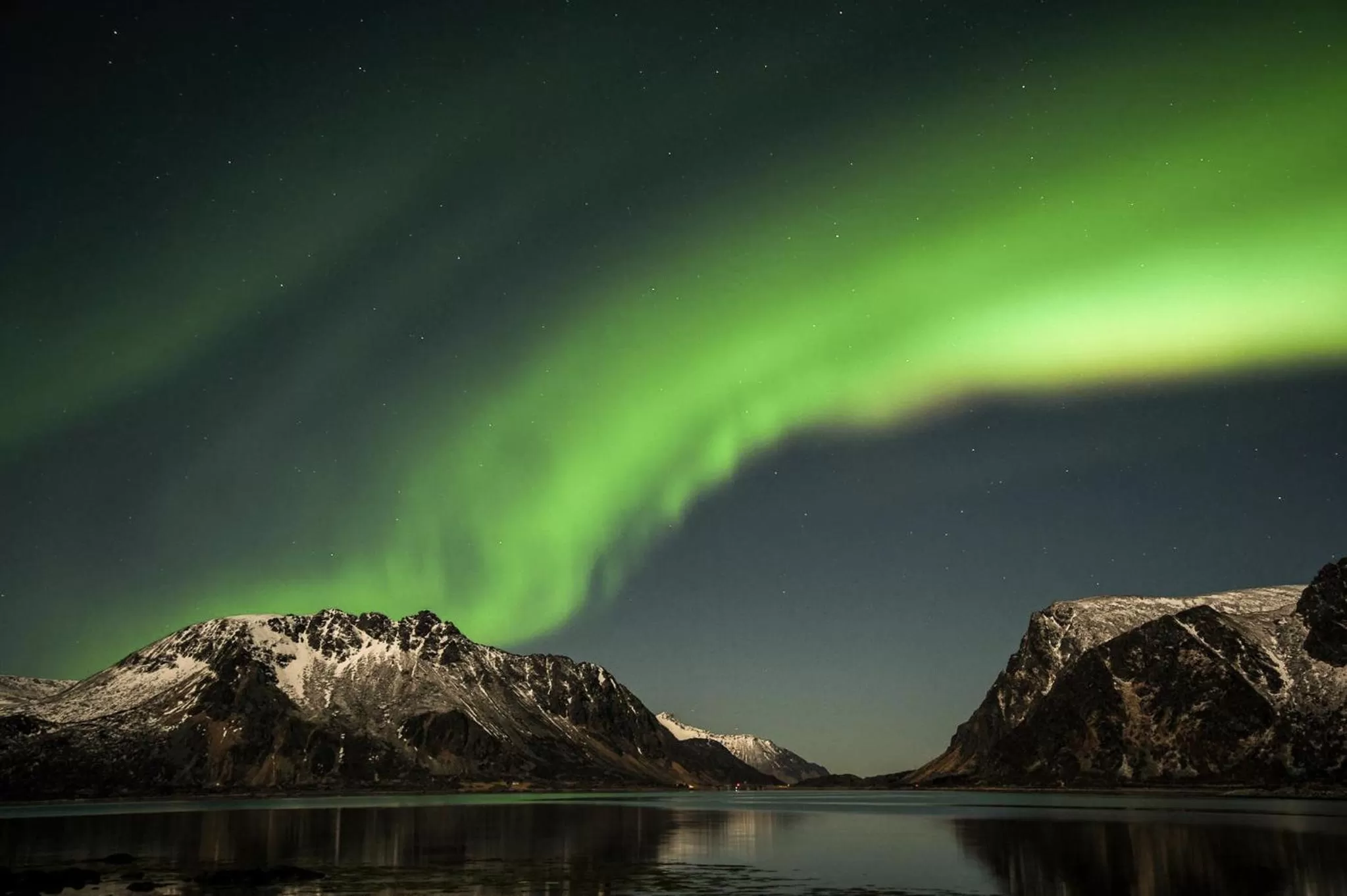 Natural landscape in Anker Brygge