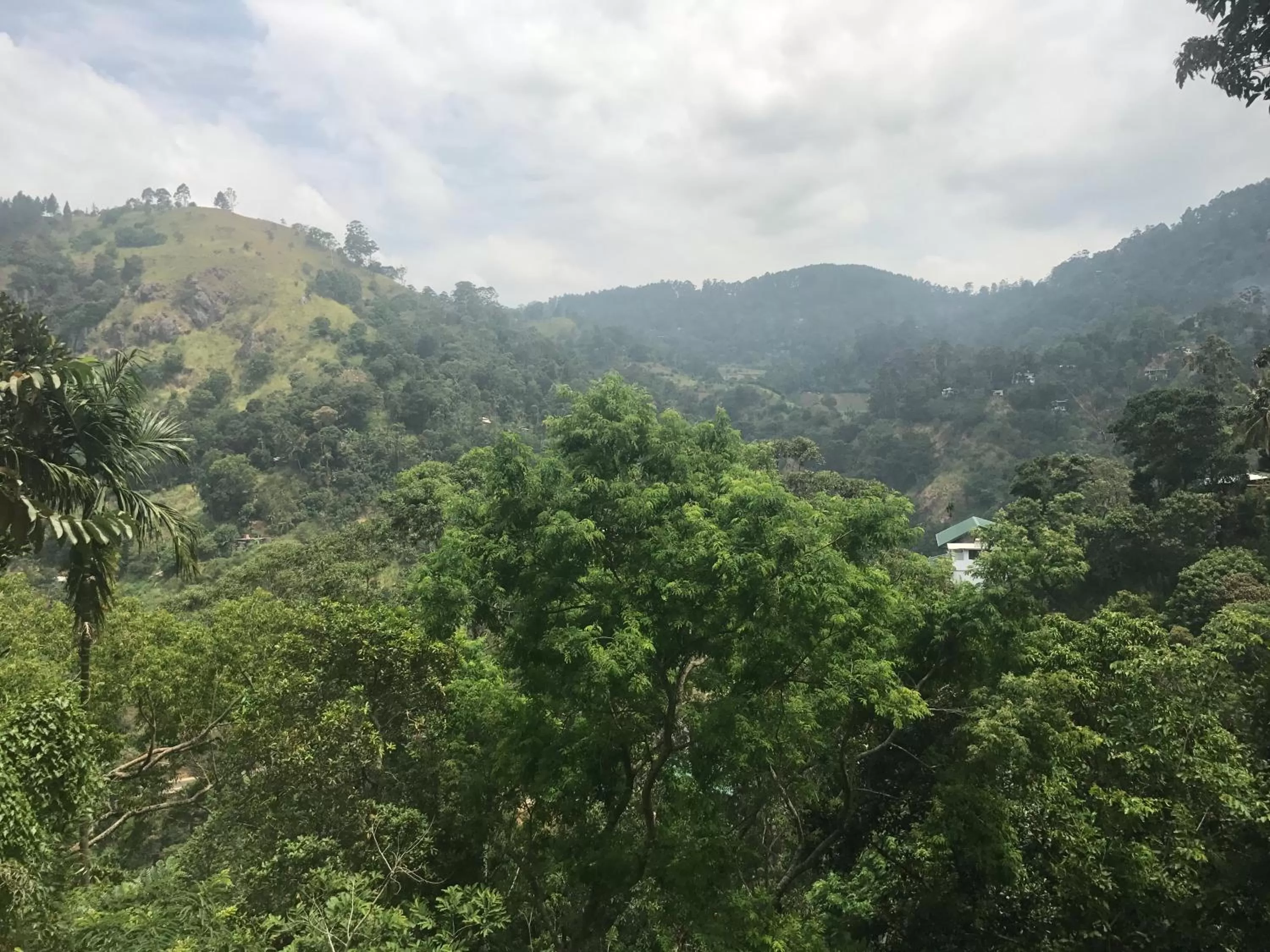 Mountain view in Raveena Guest House