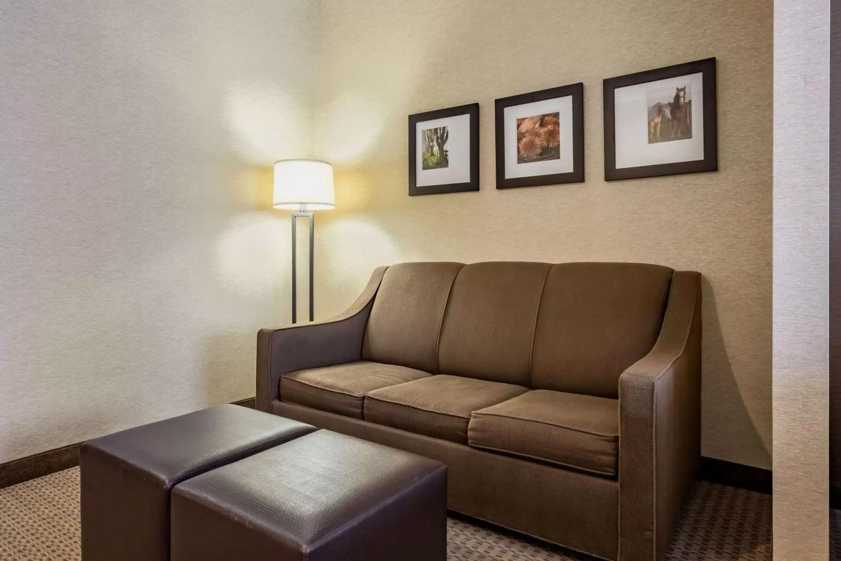 Bedroom, Seating Area in Comfort Suites Hotel and Conference Center