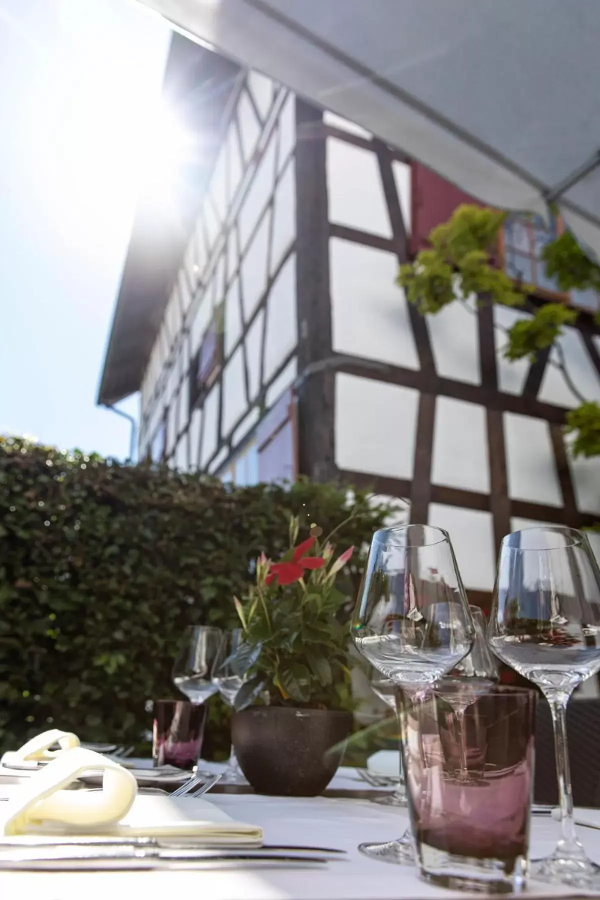 Balcony/Terrace in Hotel de Charme Römerhof