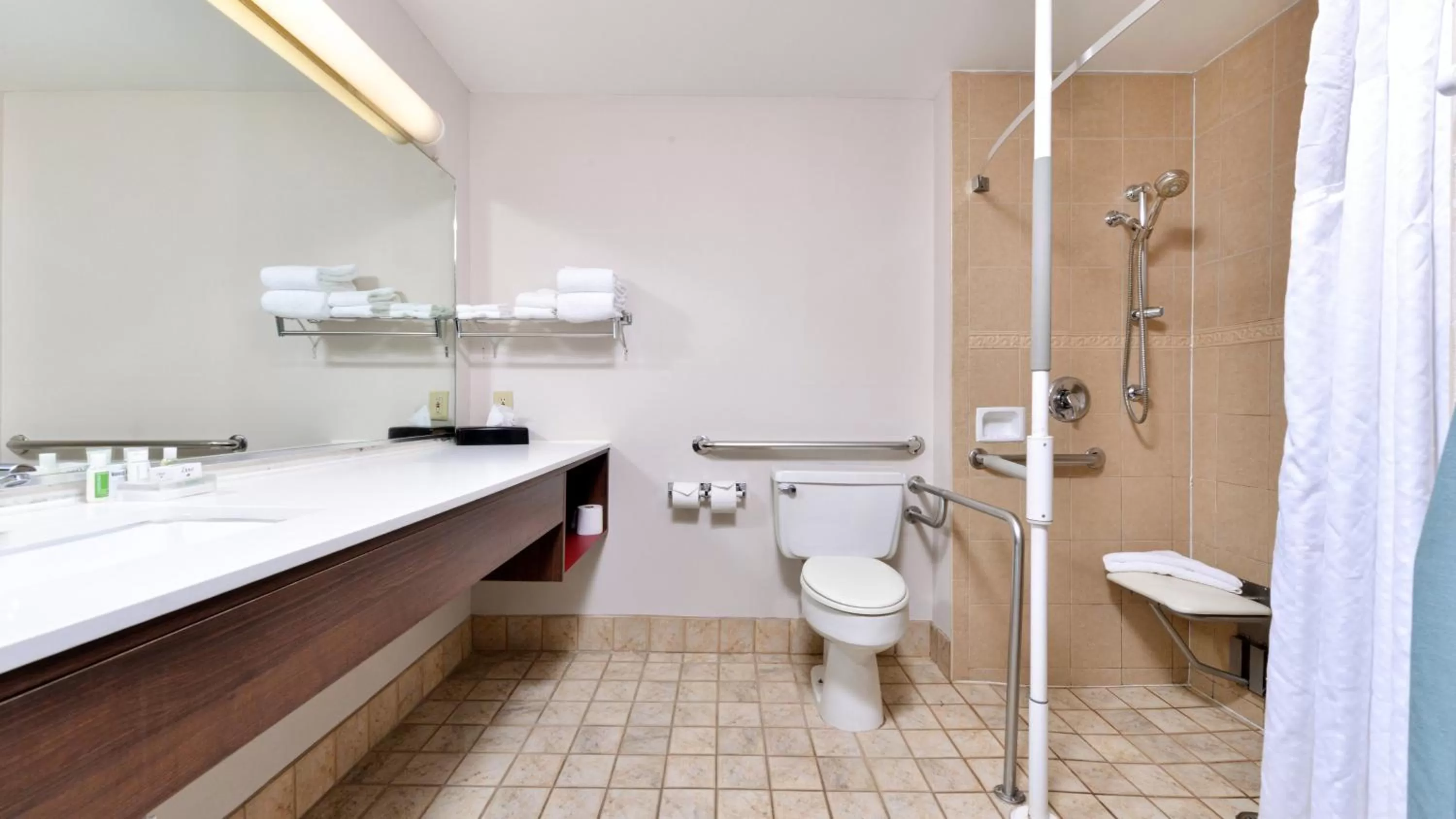 Bathroom in Holiday Inn Great Falls-Convention Center by IHG