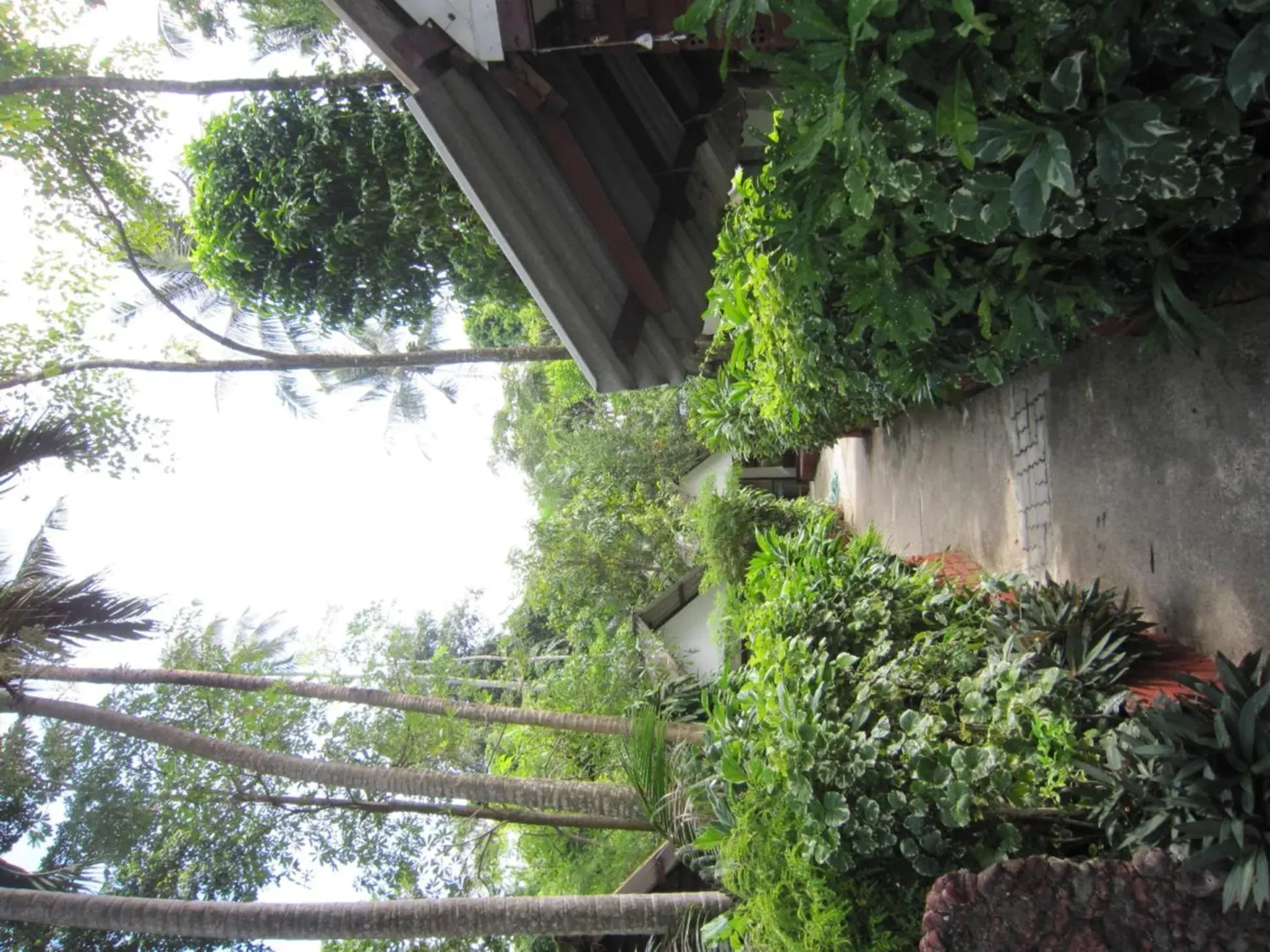 Garden in Pine Bungalow Krabi