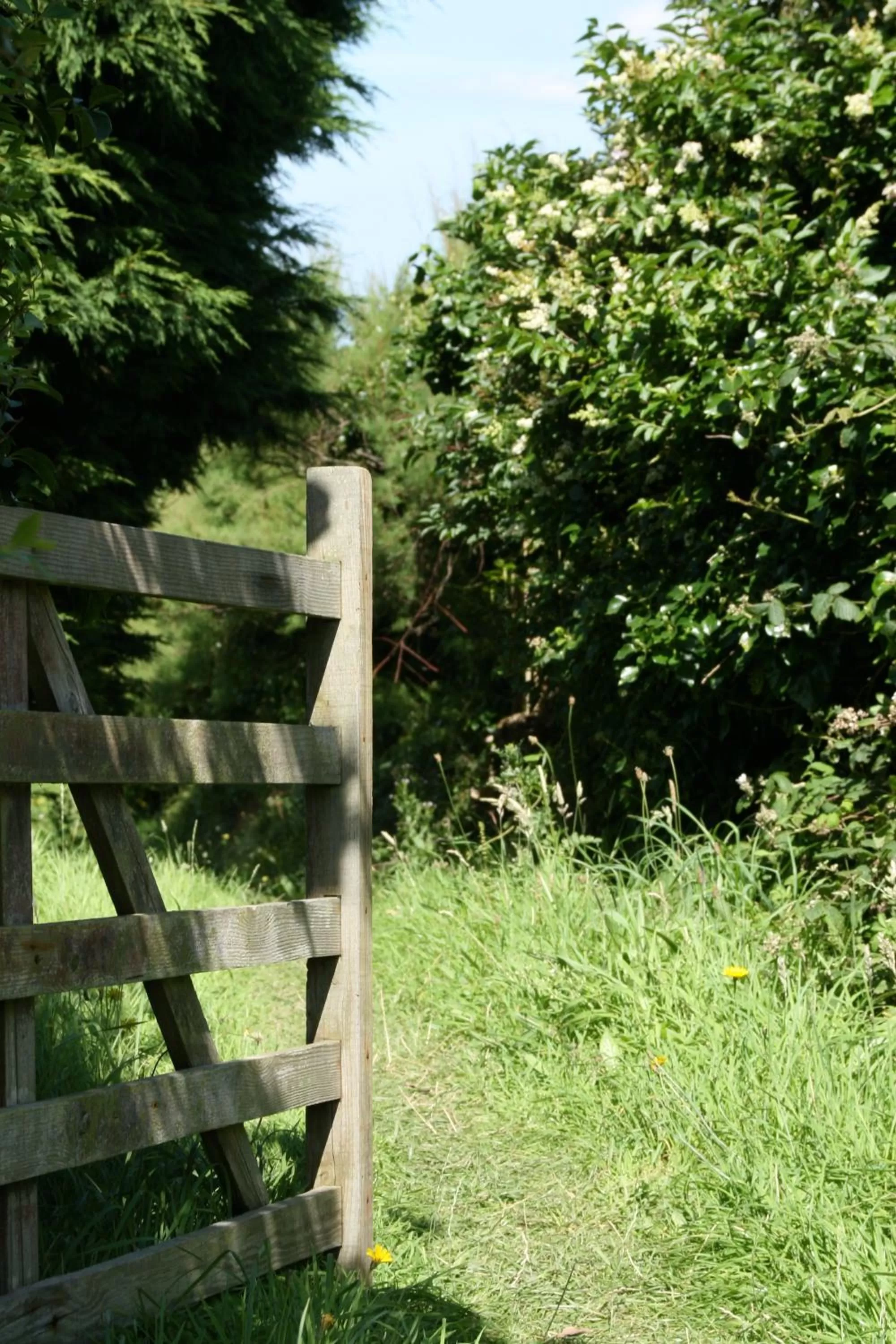 Garden in Sure Hotel Collection by Best Western Porth Veor Manor Hotel