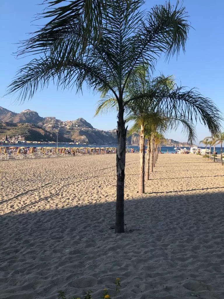 Beach in B&B La Norma