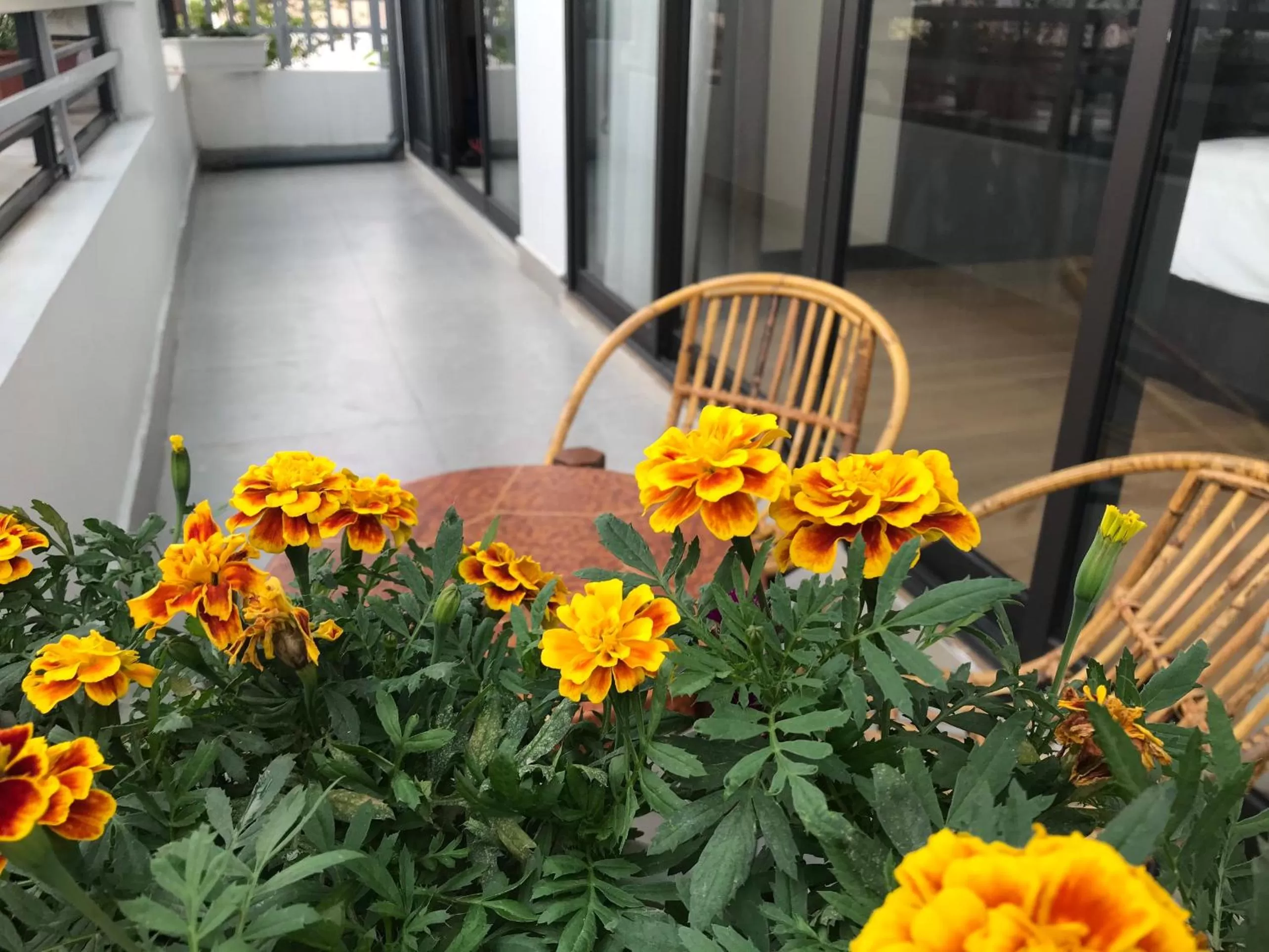 Apartment with Balcony in Elysinam Boutique Hotel Ha Long