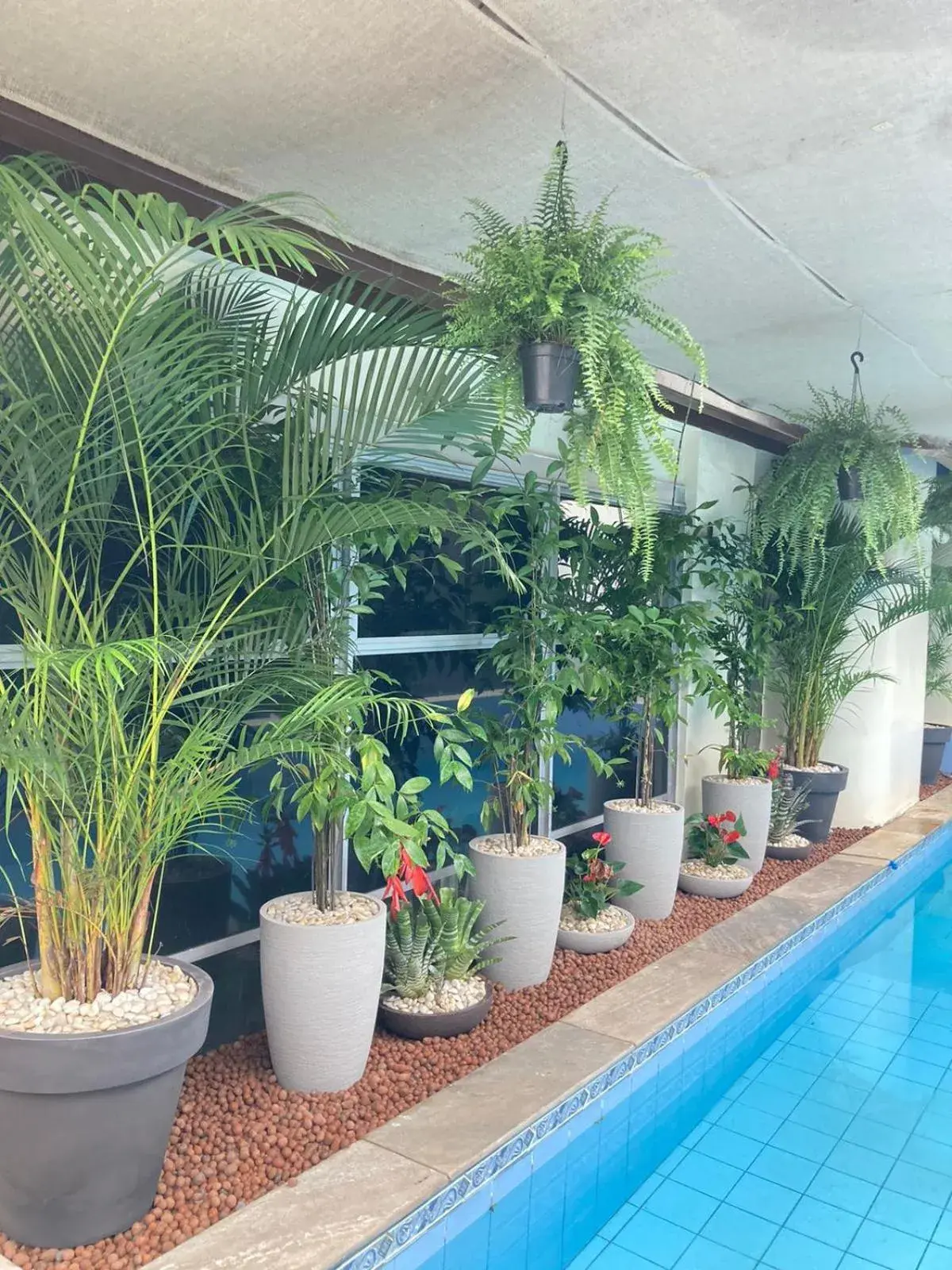 Swimming Pool in Plaza Hotel Manaus