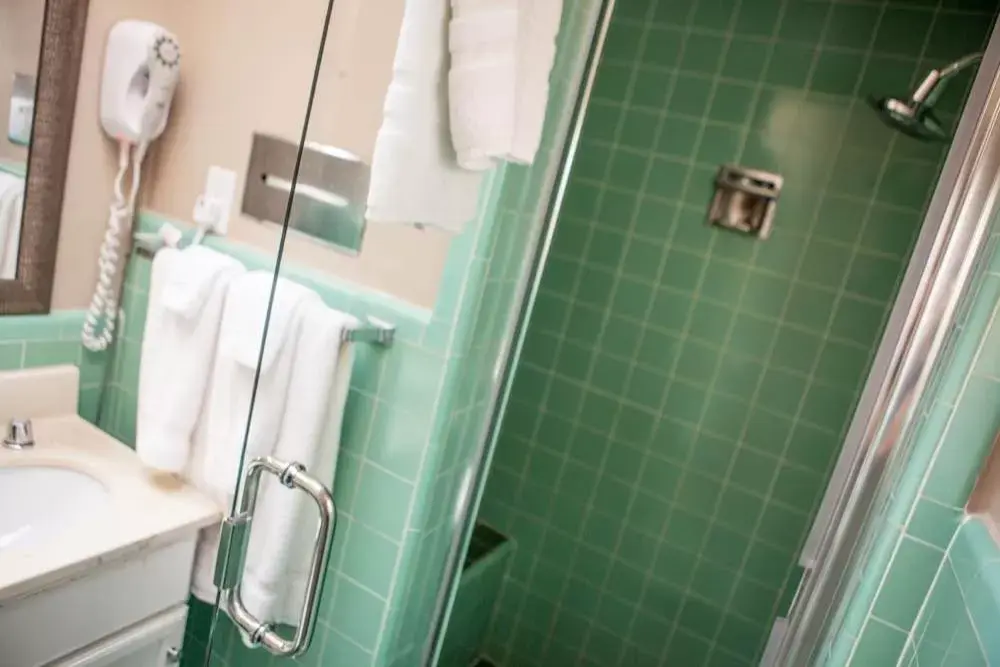 Shower, Bathroom in Motel Capri