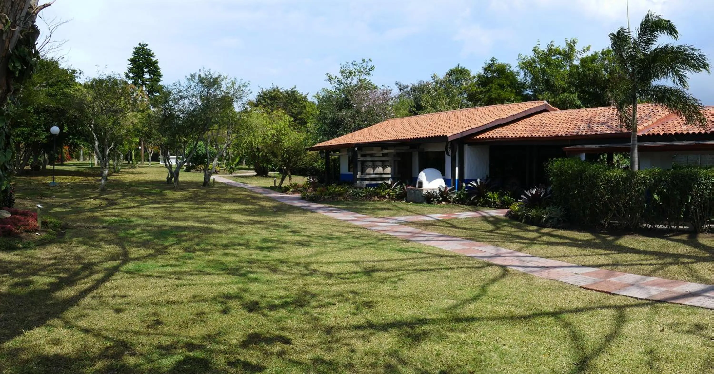 Garden in Hotel Bougainvillea San José