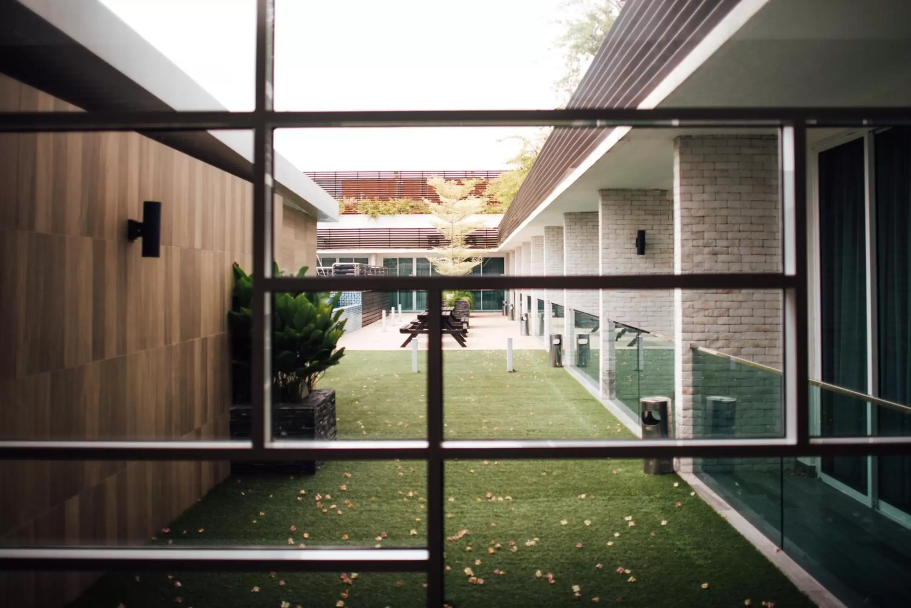 Garden in Hotel Sfera