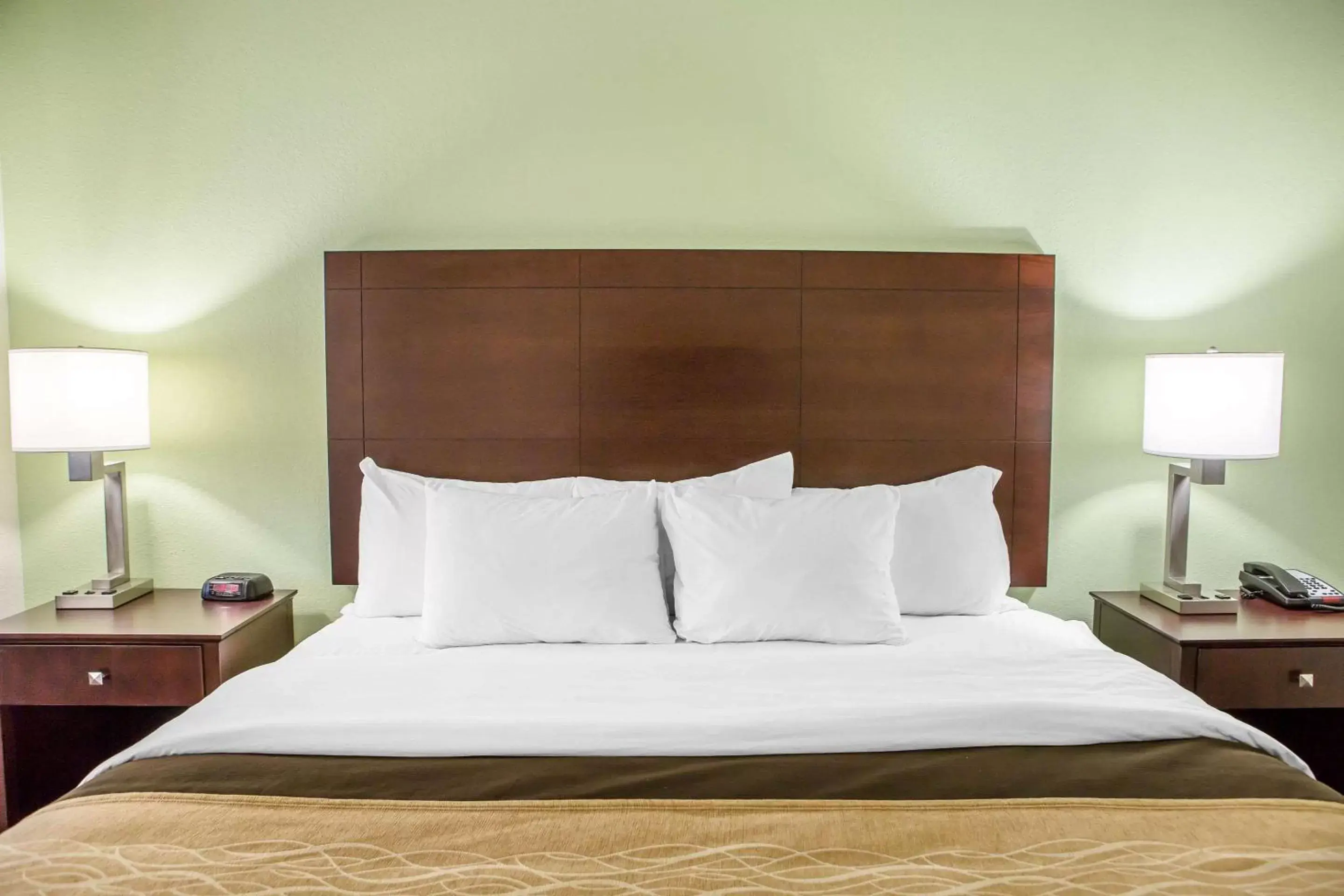 Photo of the whole room, Bed in Comfort Inn Lexington South Photo of the whole room, Bed in Comfort Inn Lexington South