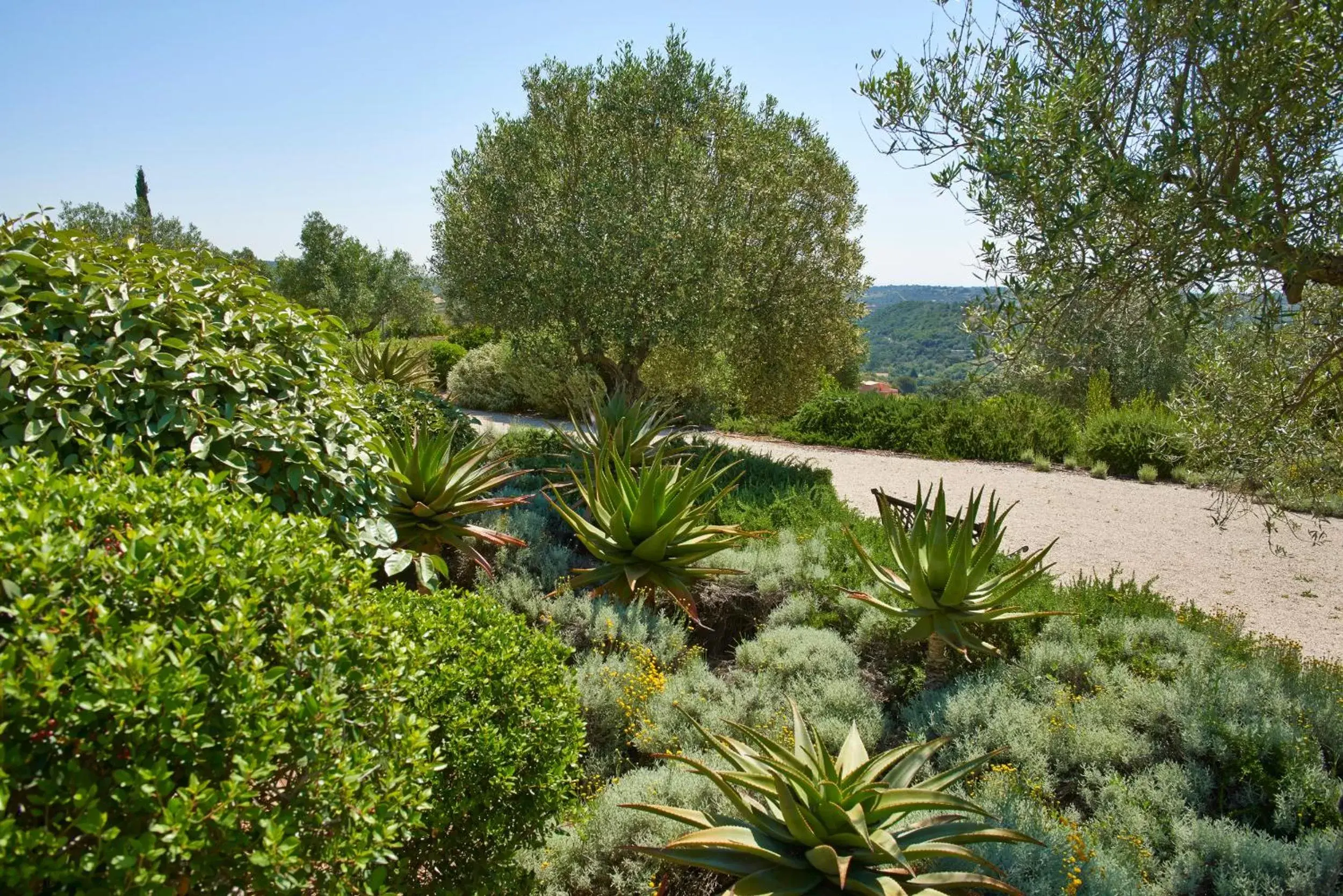 Garden in Hotel Rural Quinta do Marco - Nature & Dining