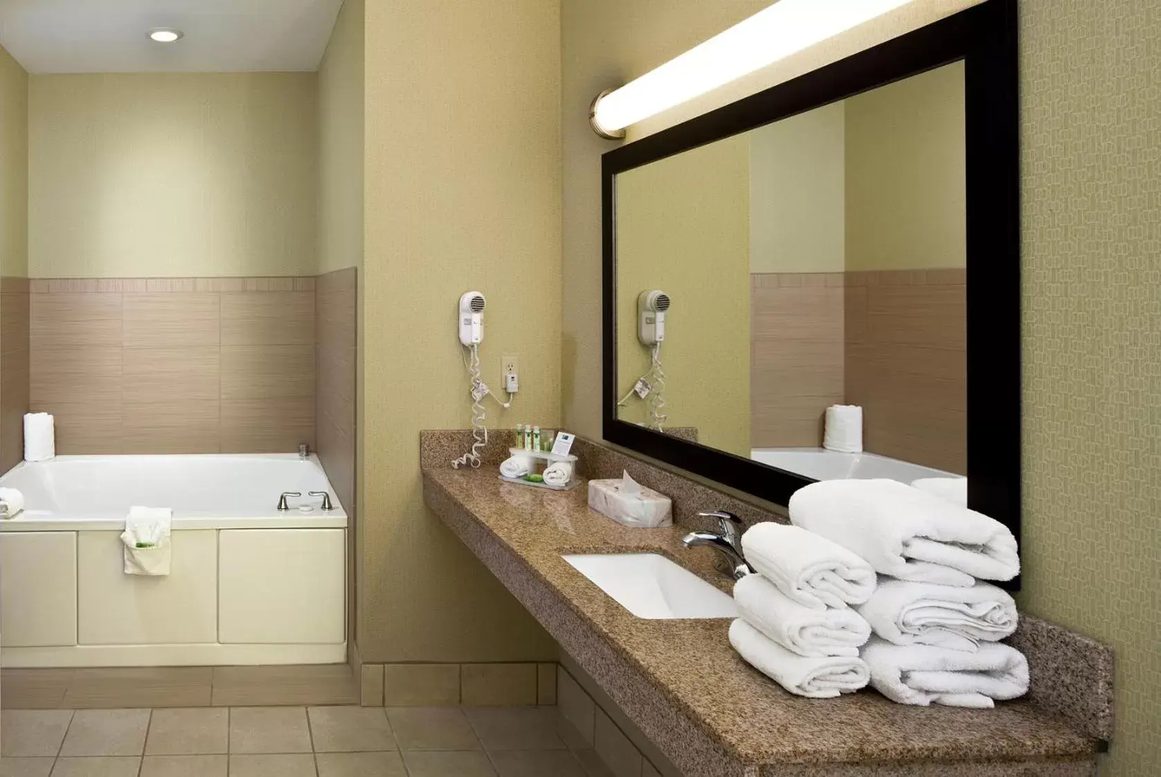 Bathroom in Holiday Inn Express Hotel & Suites Saginaw, an IHG Hotel