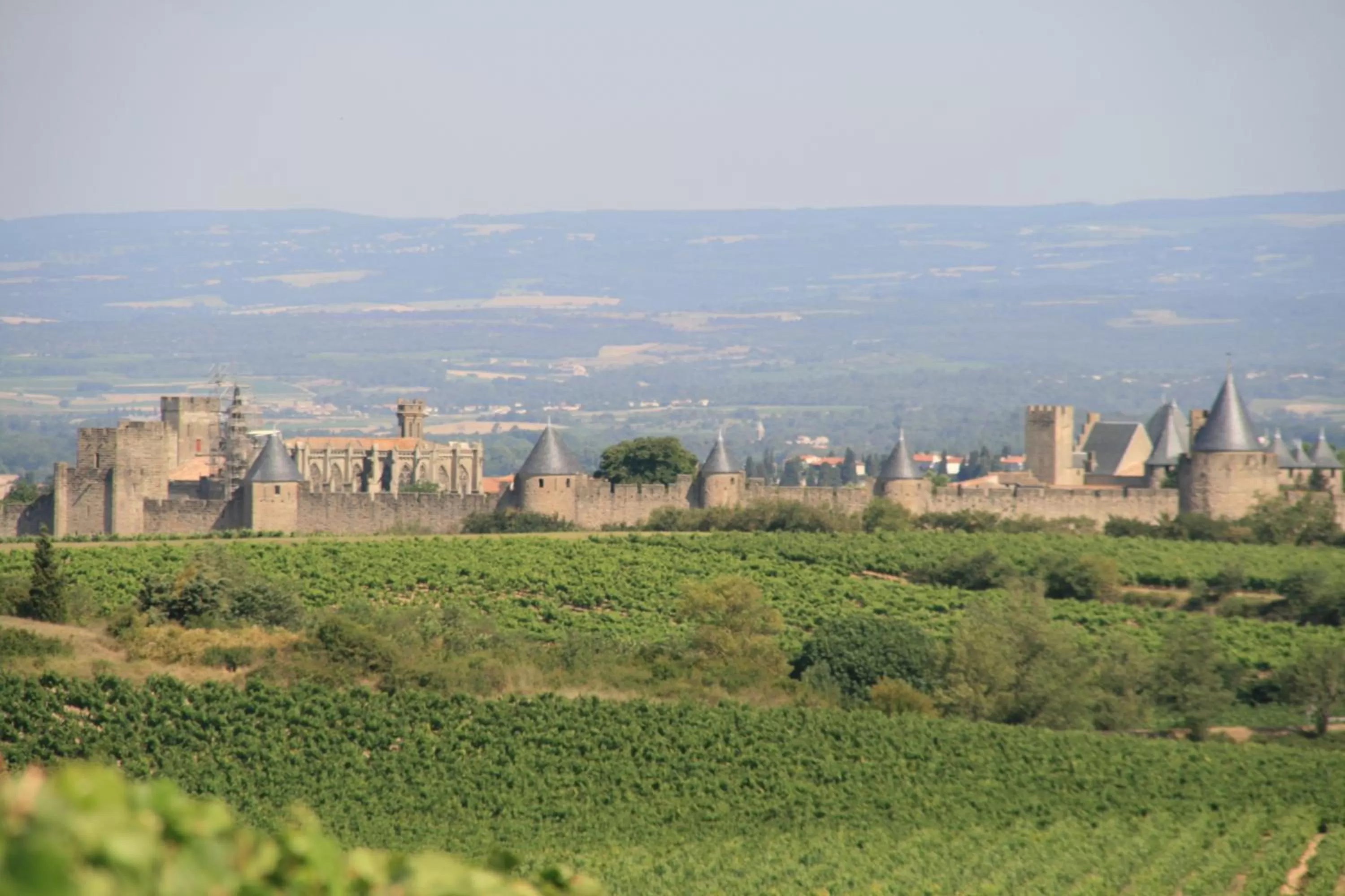 Area and facilities in La Maison sur la Colline