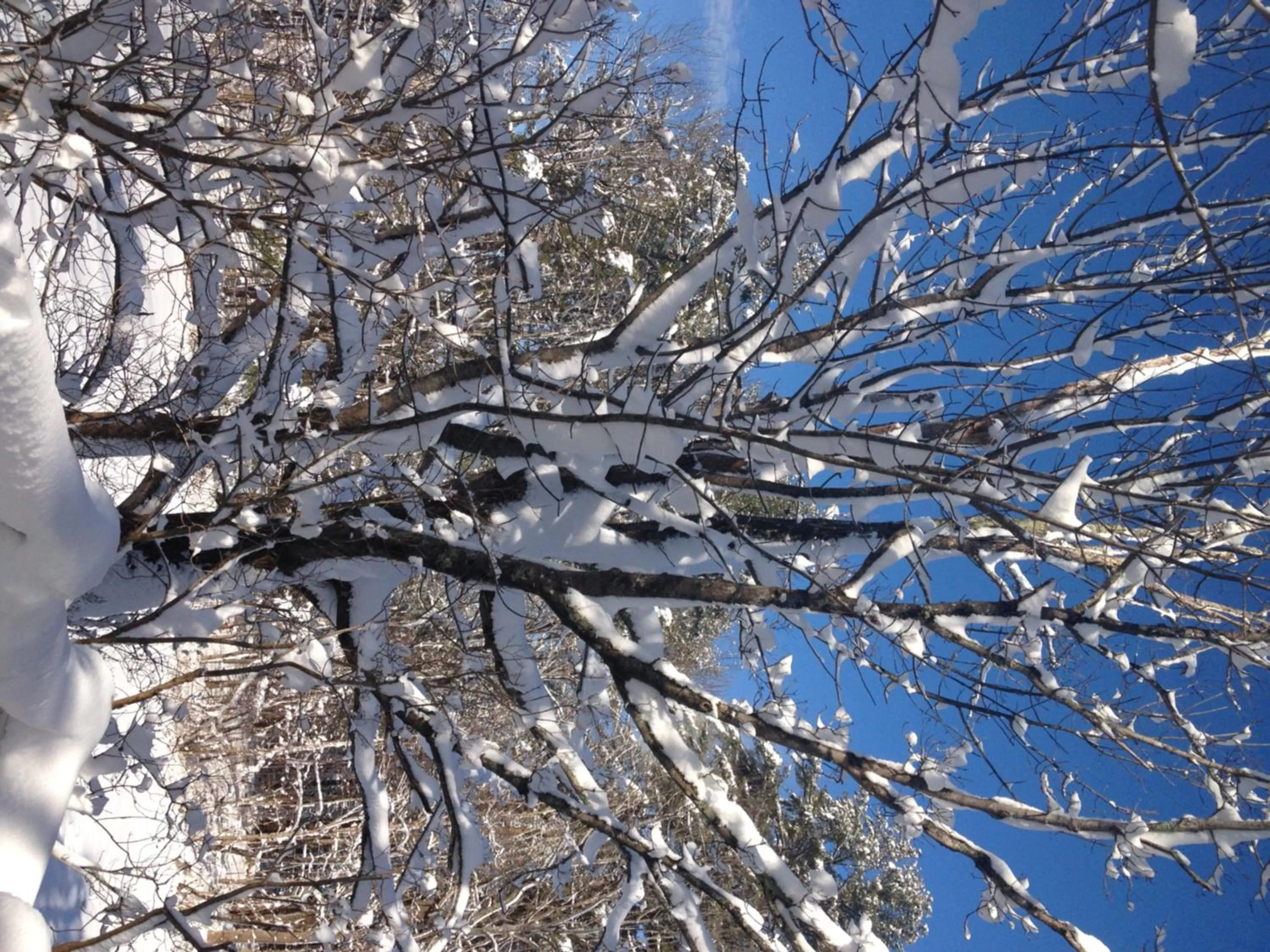 Natural landscape in James Place Inn Bed and Breakfast