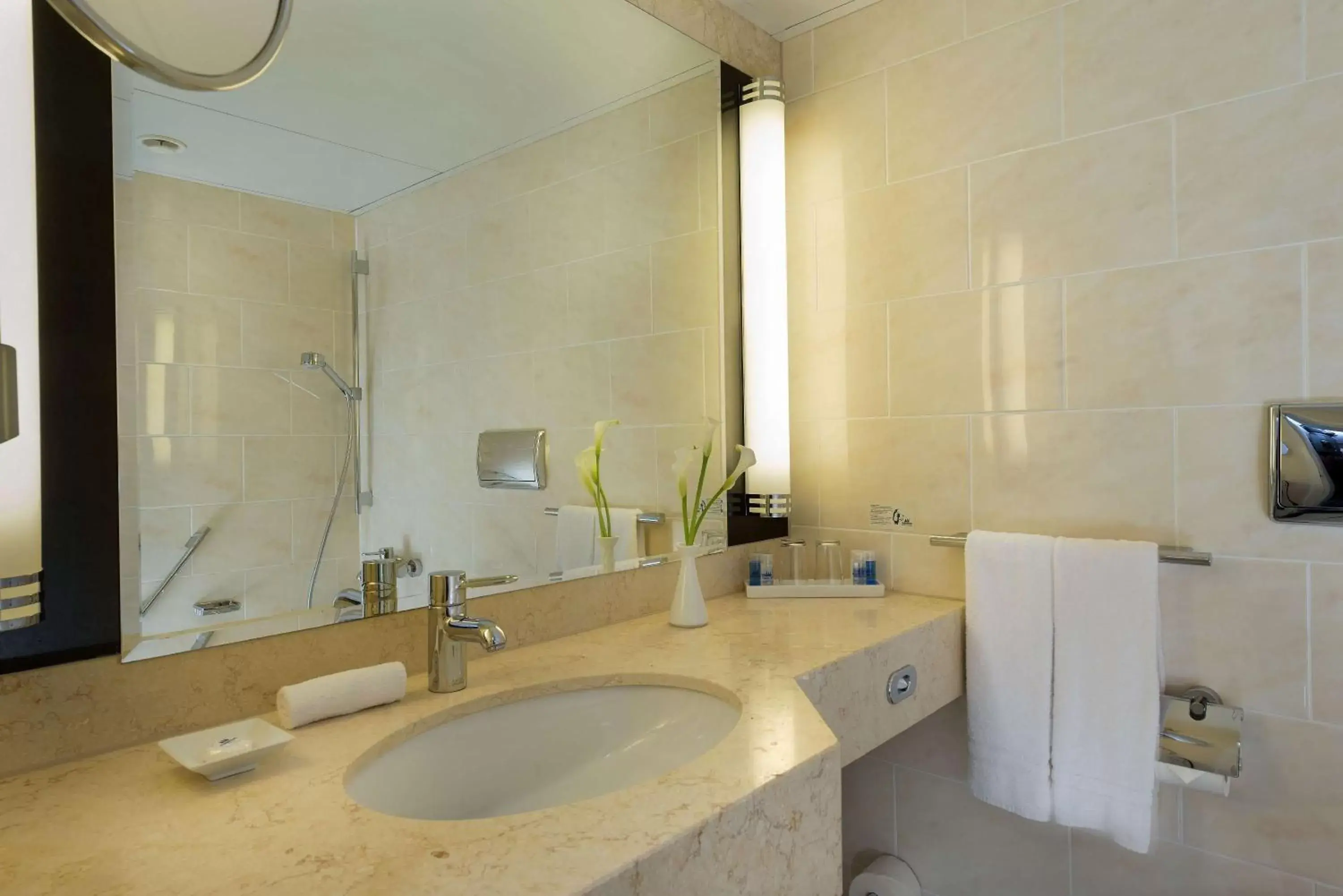 Bathroom in Maritim Hotel Am Schlossgarten