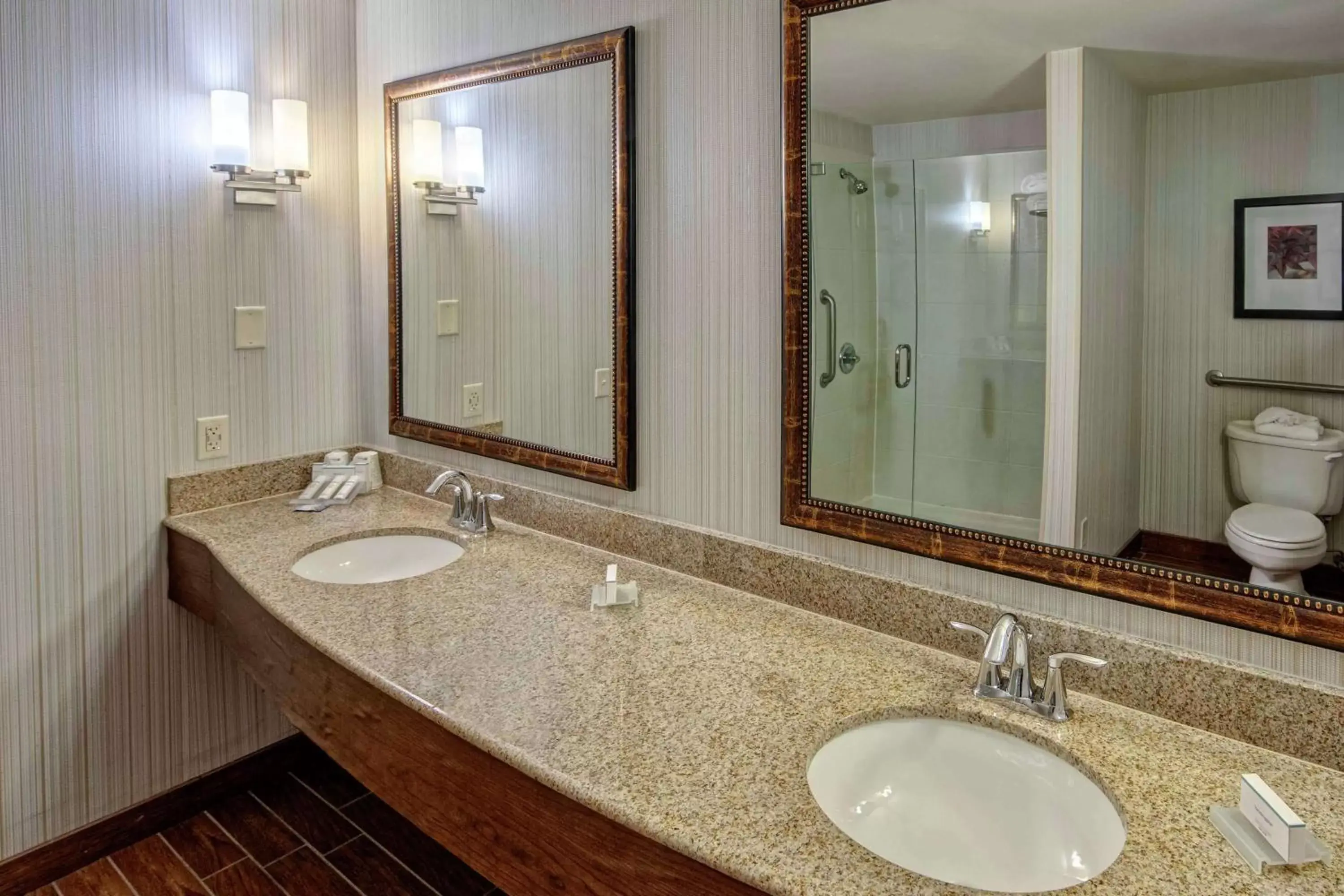 Bathroom in Hilton Garden Inn Minneapolis/Eden Prairie