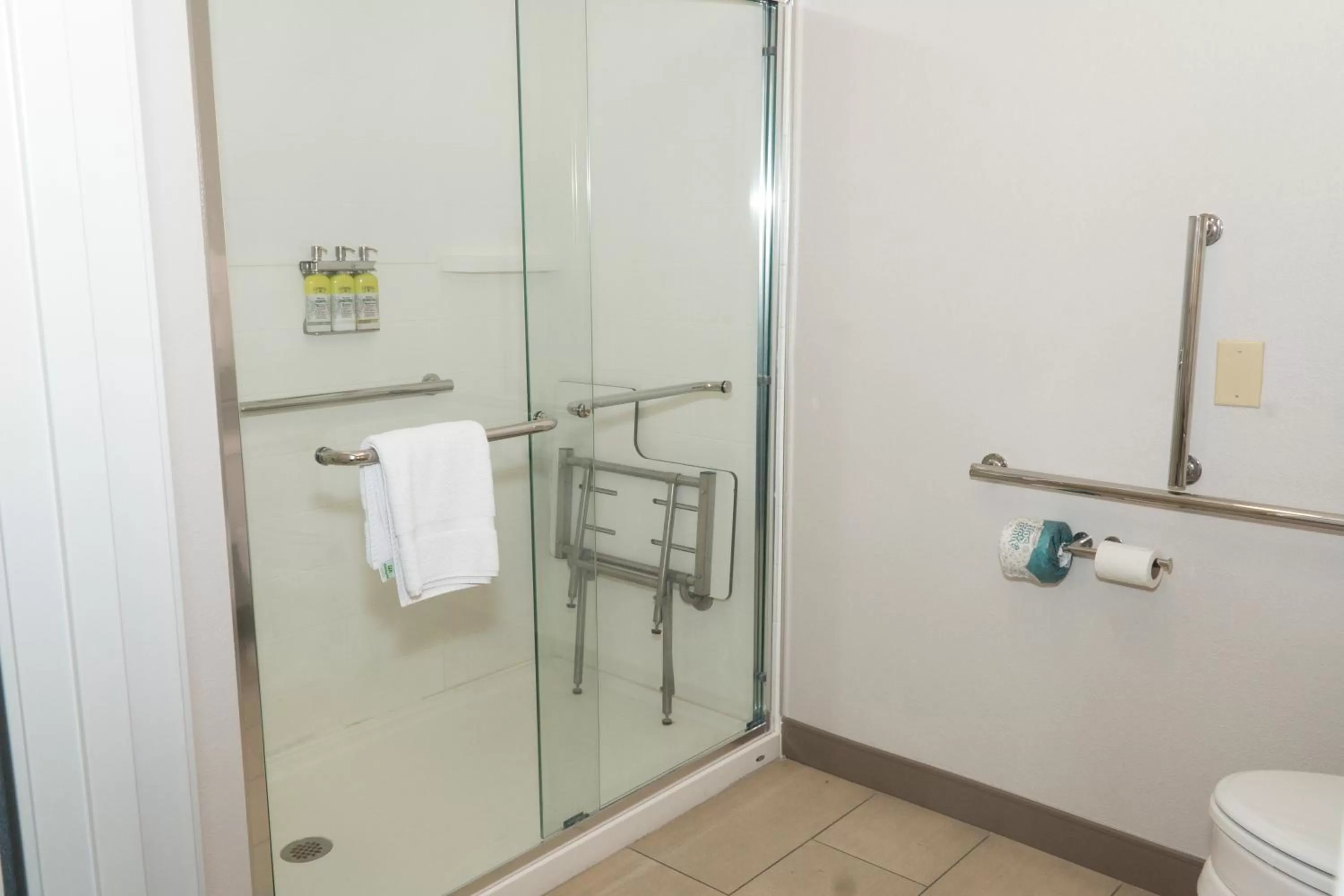 King Room - Disability Access Hearing Accessible - Roll-In Shower in Holiday Inn Express Hotel & Suites Madison, an IHG Hotel