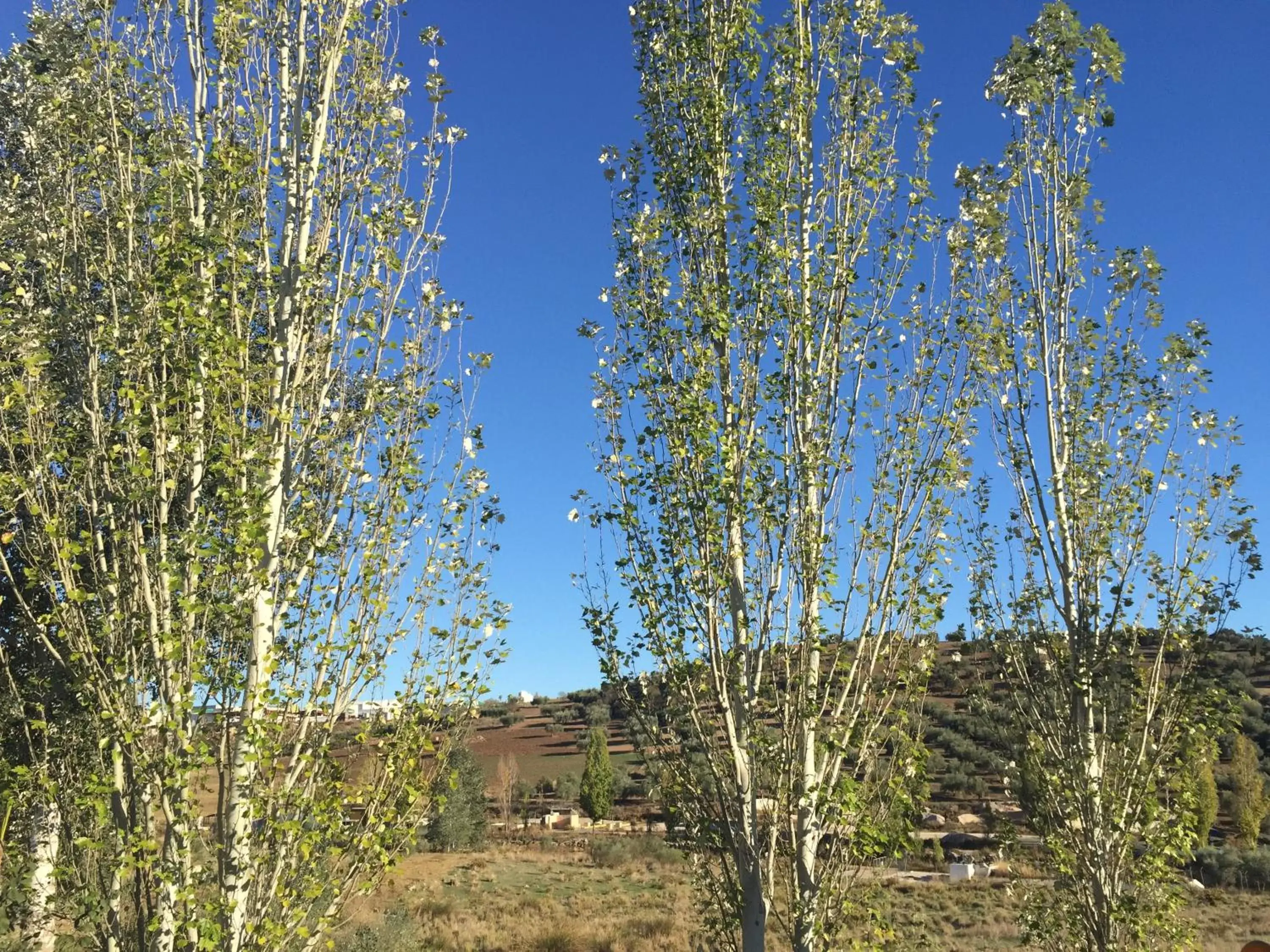 Natural Landscape in Hotel Arco del Sol