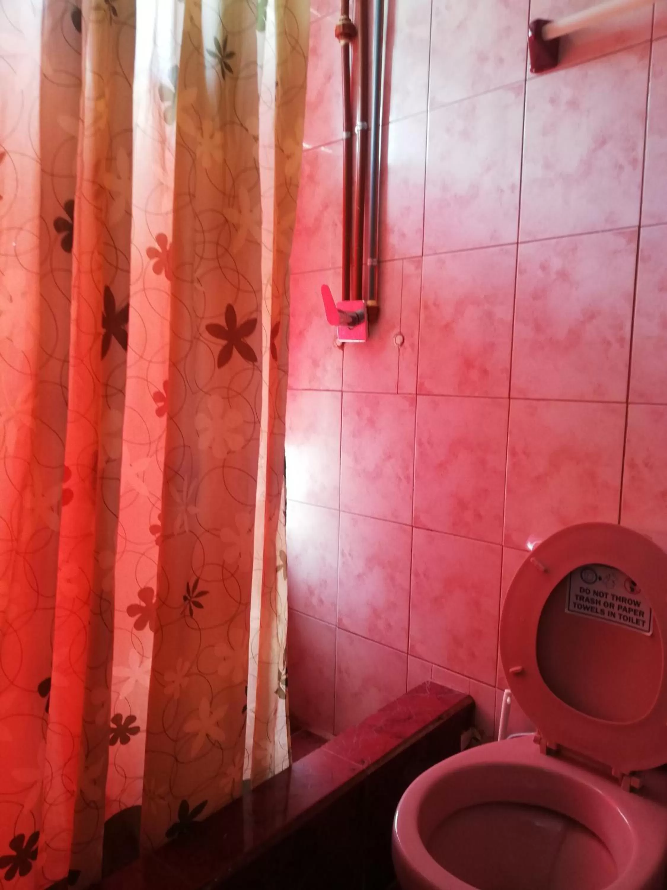 Bathroom in Flying Donkey