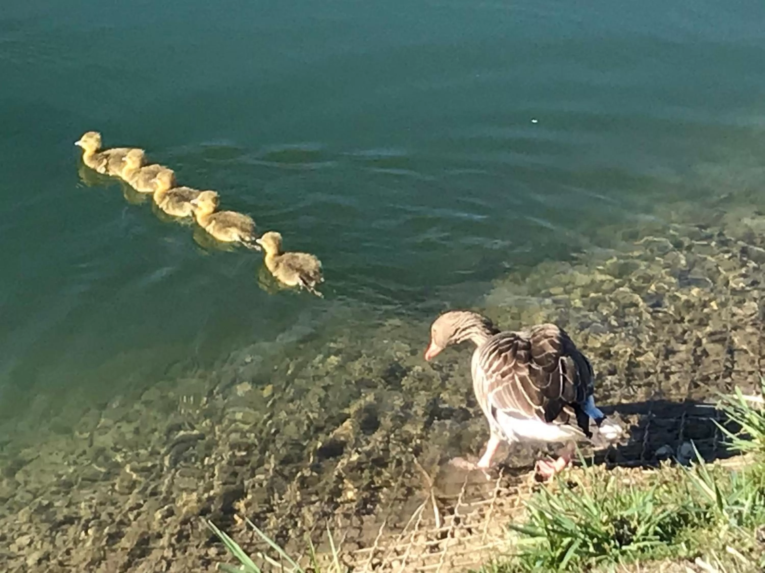 Natural landscape in Bed and Breakfast Bavaria München