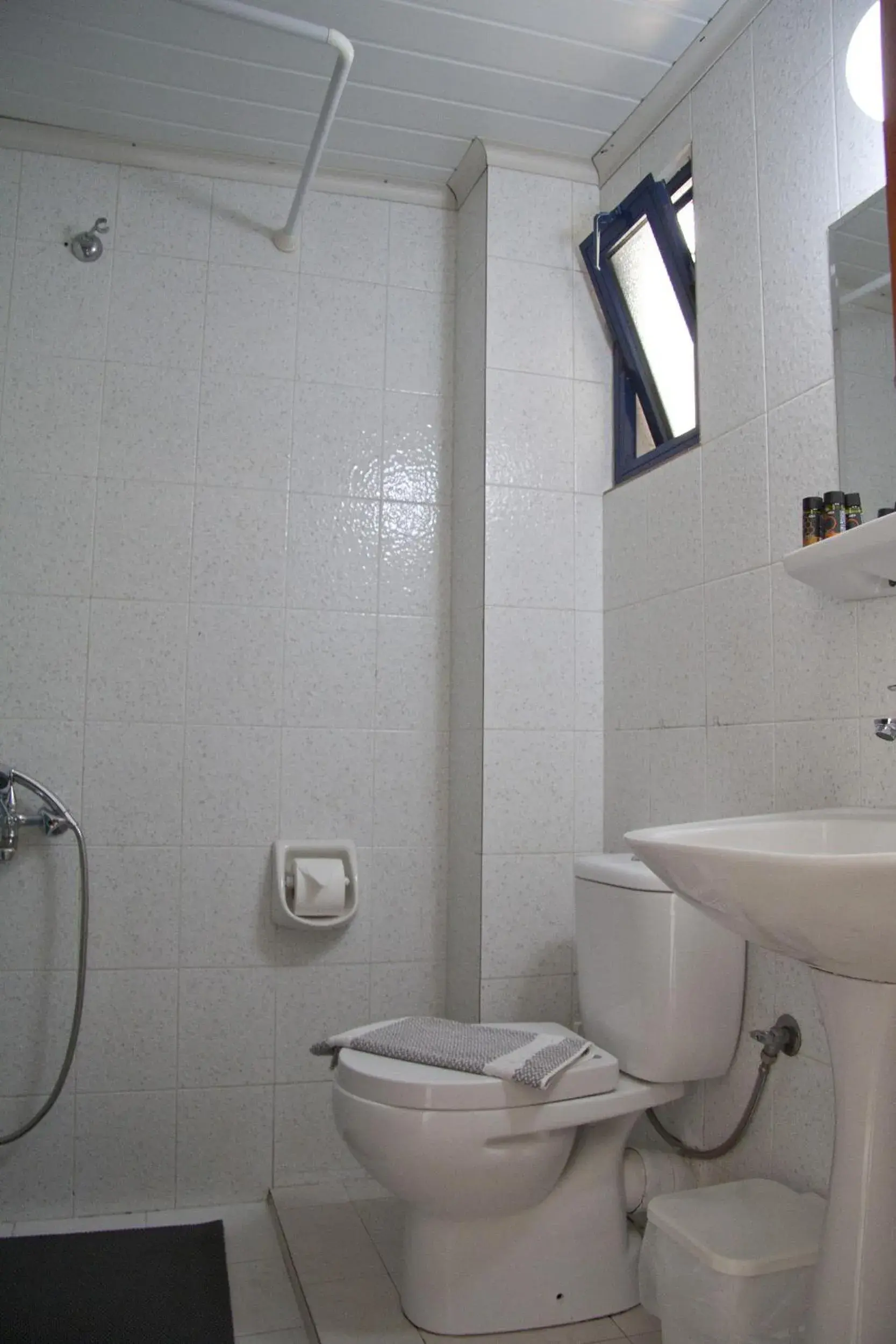 Shower, Bathroom in Danaos Hotel