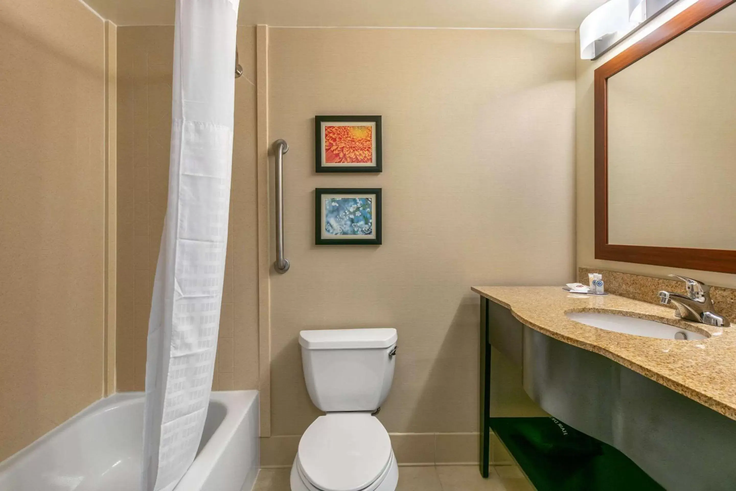 Bathroom in Comfort Inn & Suites Nashville Franklin Cool Springs