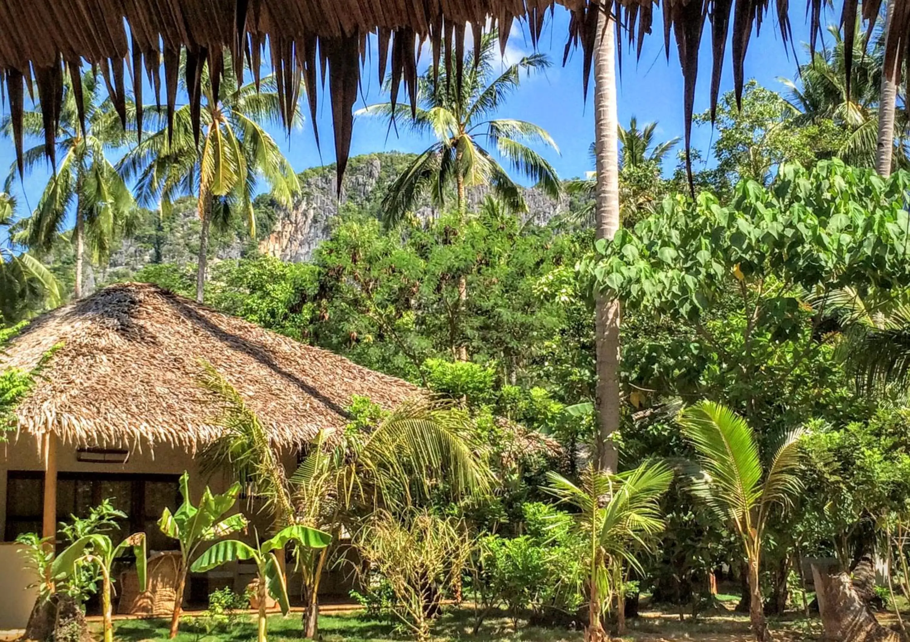 Natural landscape in El Nido Coco Resort