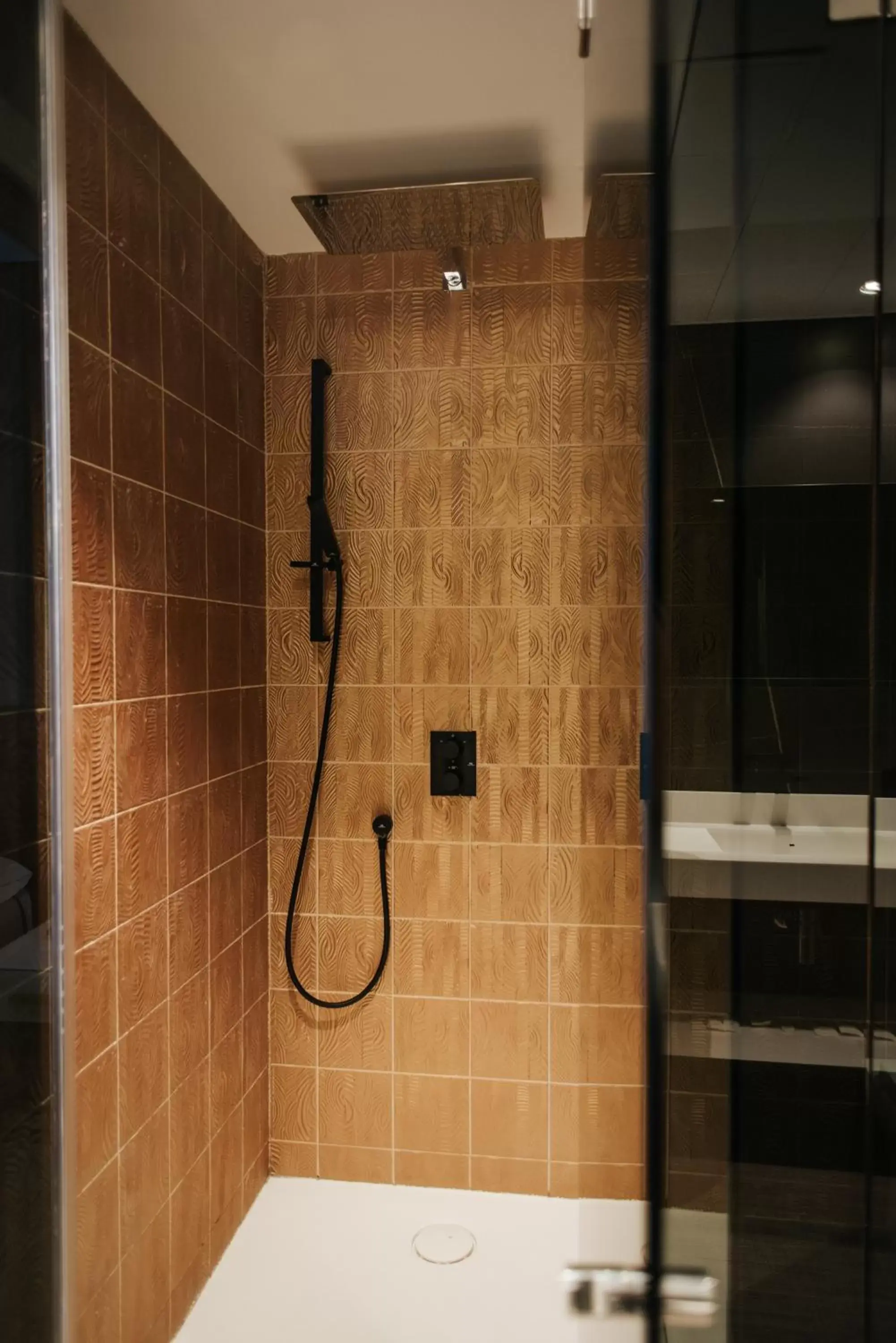 Shower, Bathroom in Hotel Neptuno