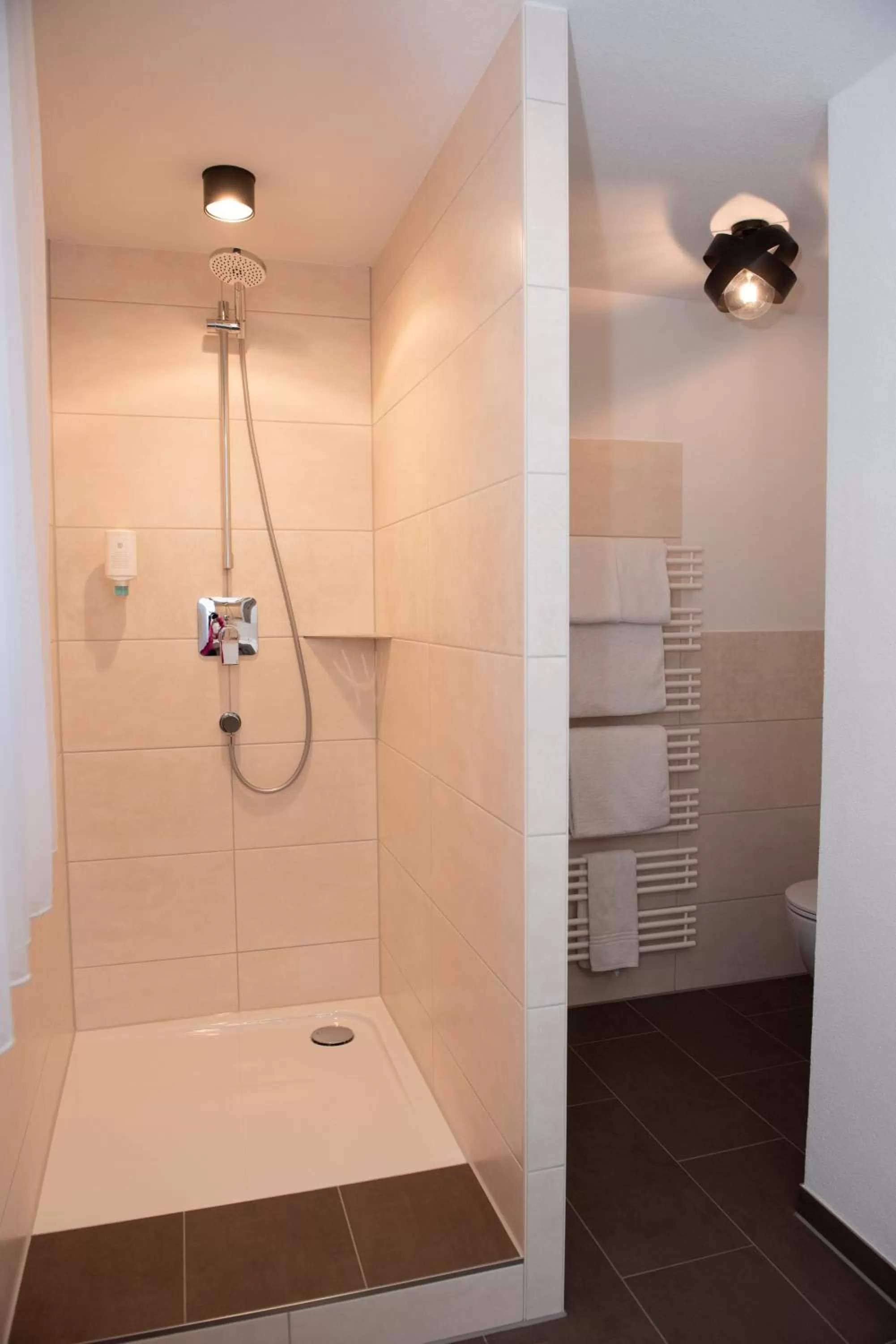 Toilet in Boutique - Hotel Zum Schloss