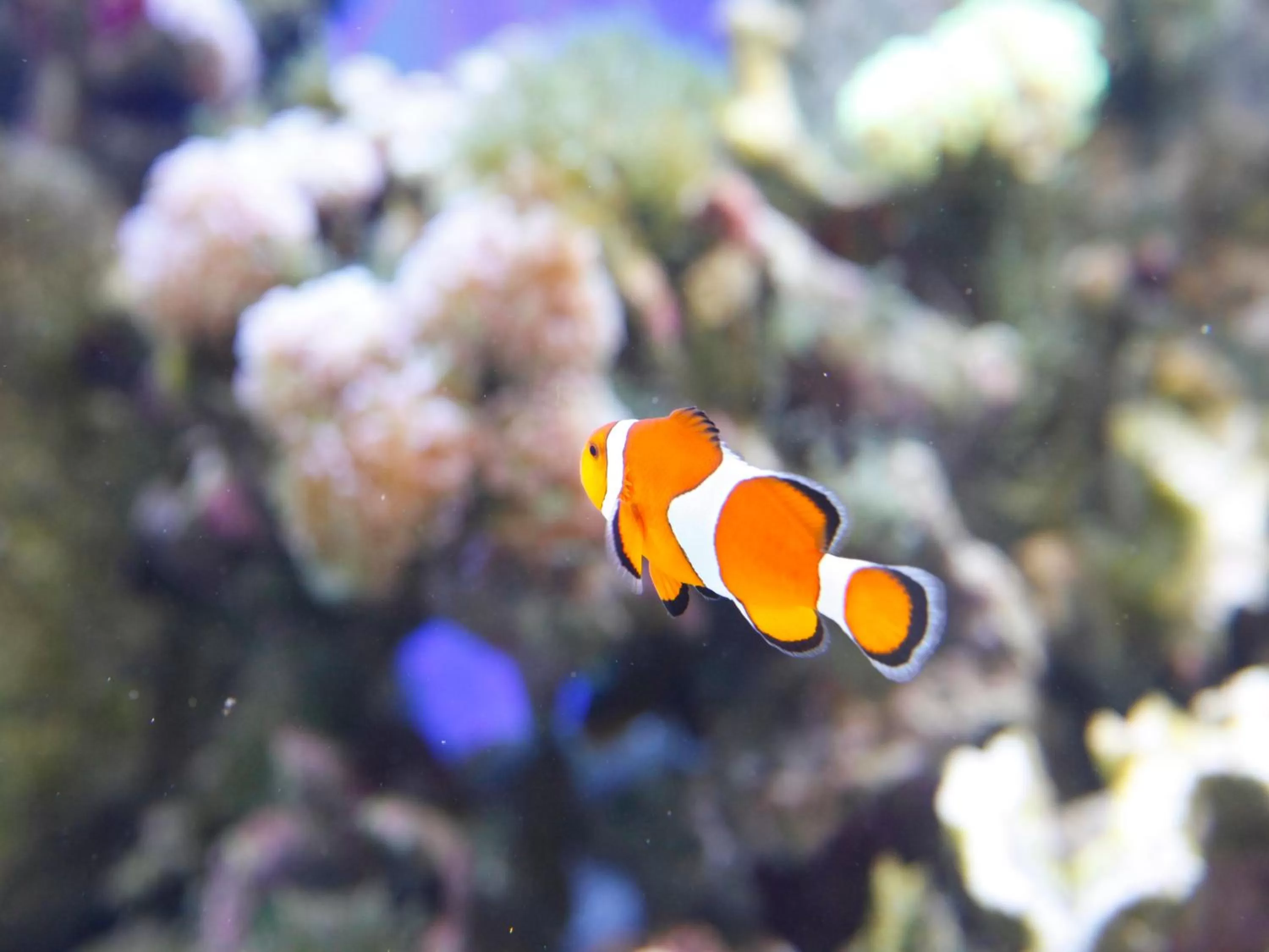 Nearby landmark in Hotel Wing International Select Osaka Umeda