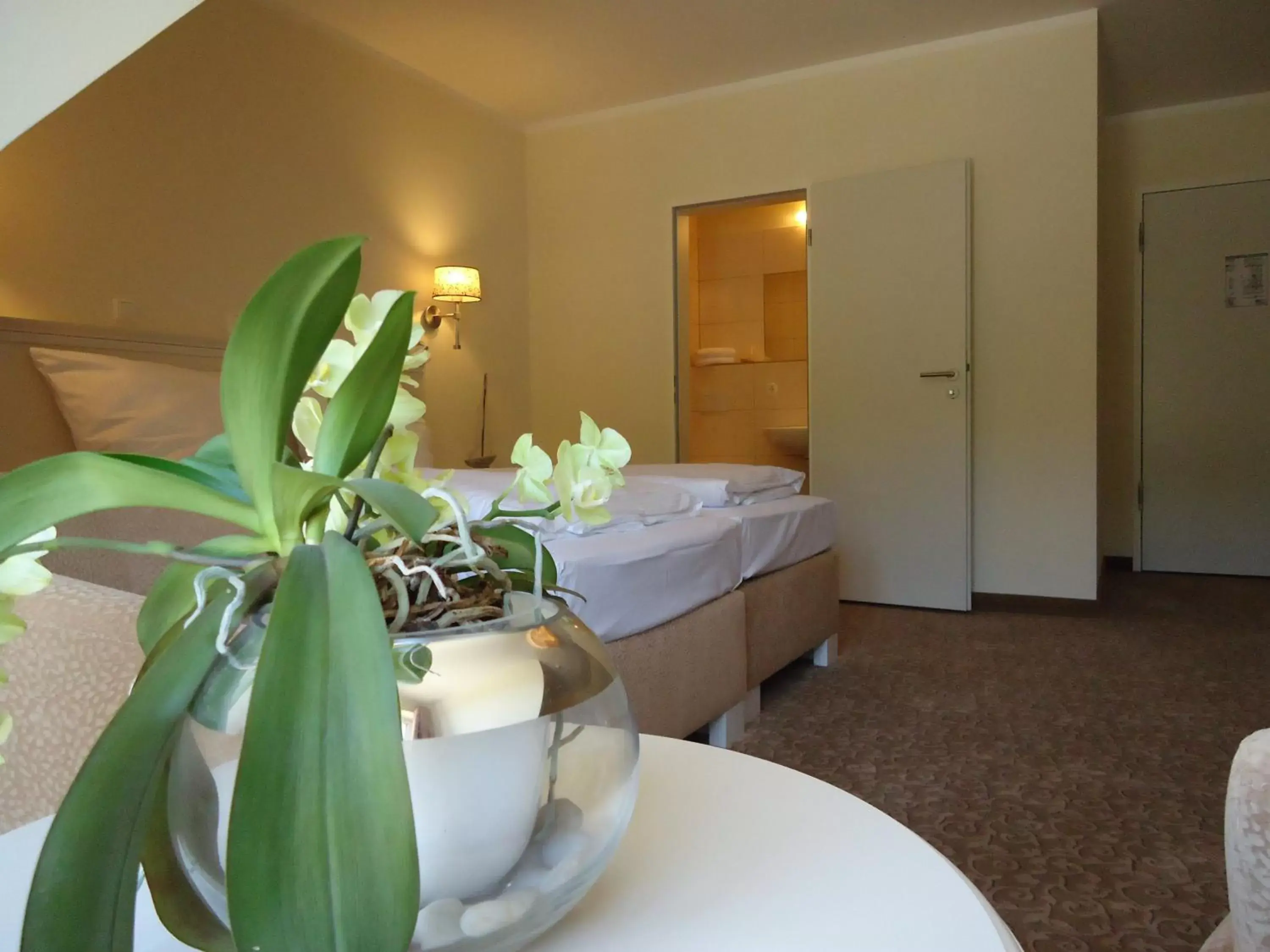 Photo of the whole room, Room Photo in Ostseehotel Boltenhagen