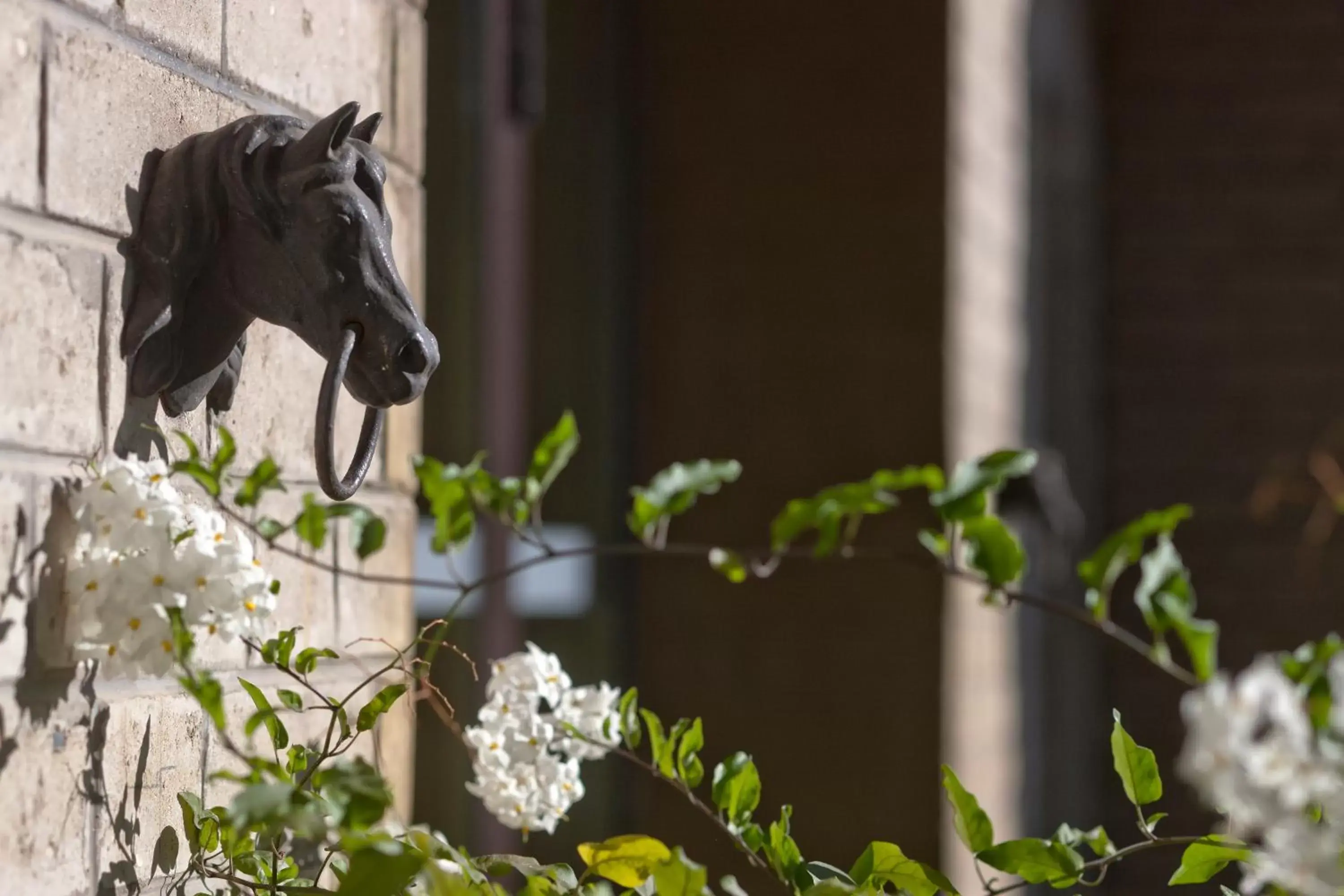 Area and facilities, Other Animals in Boutique-Hotel Auberge Langenthal