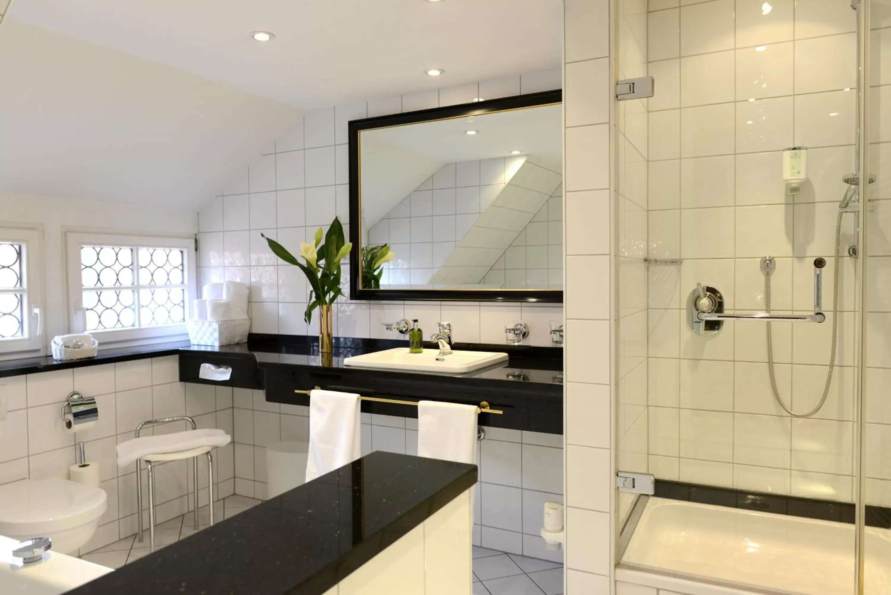 Shower, Kitchen/Kitchenette in Romantik Hotel Markusturm