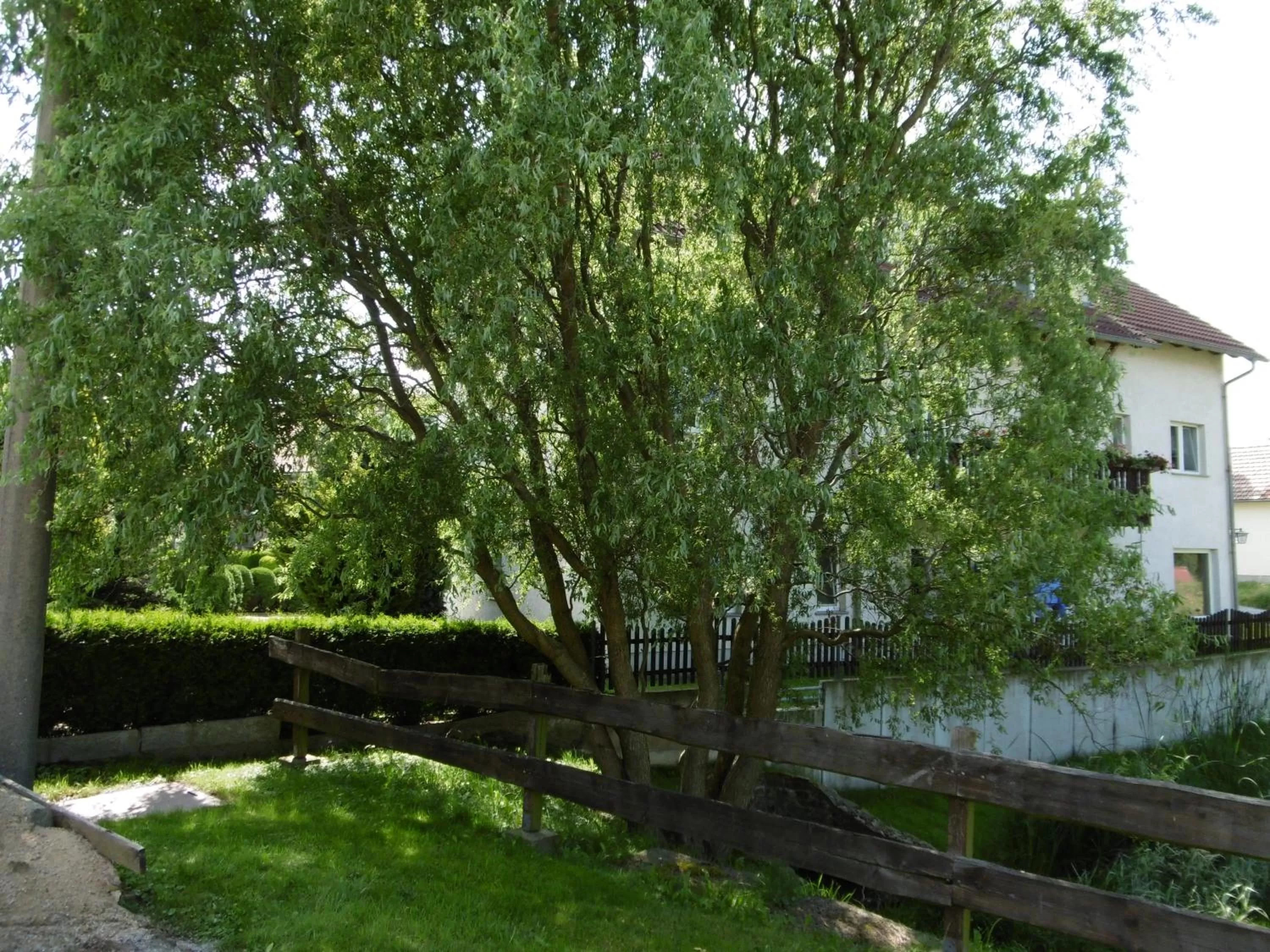 Hotel & Pension Aßmann