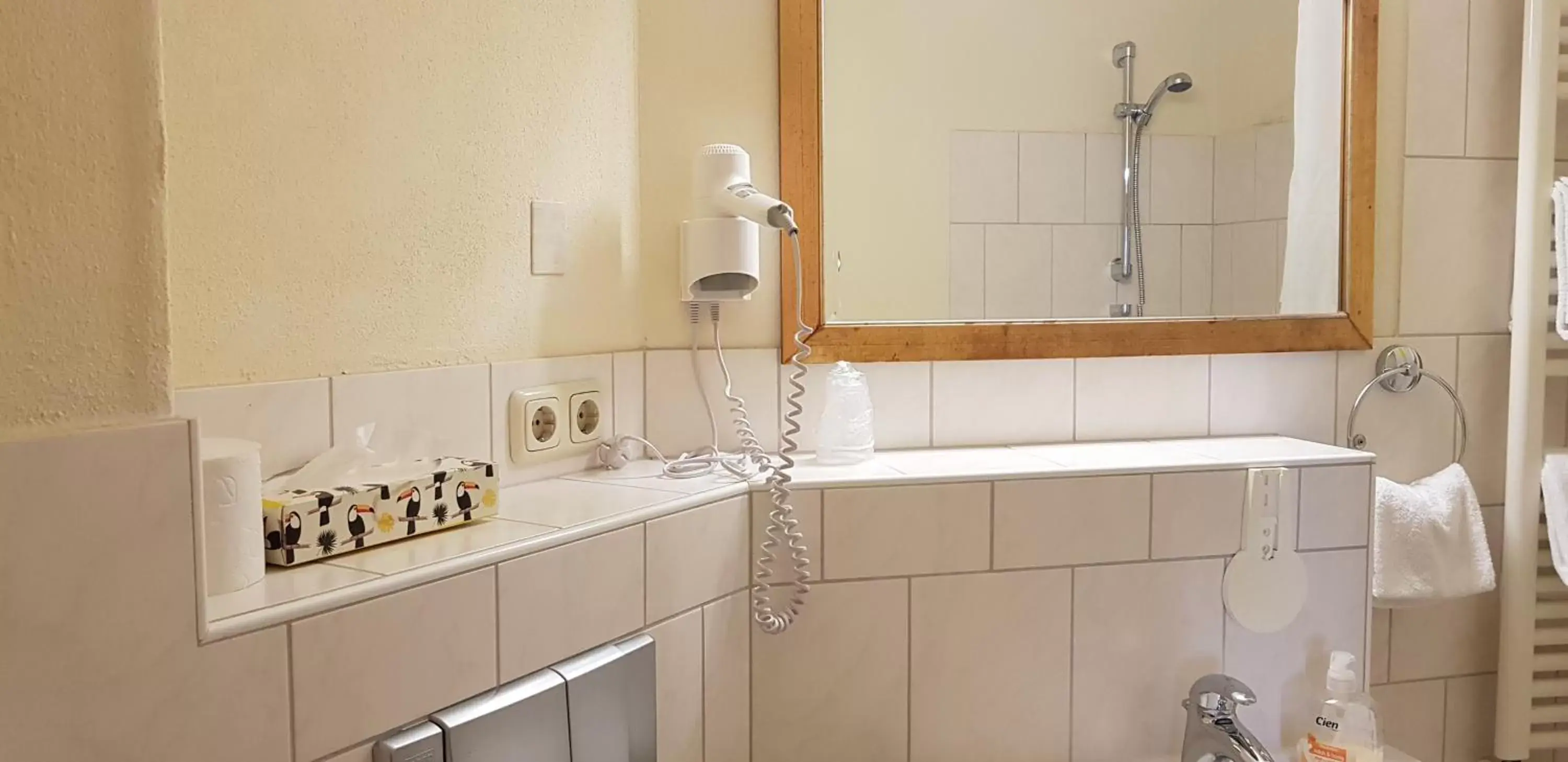Decorative detail, Bathroom in Hotel am Untreusee