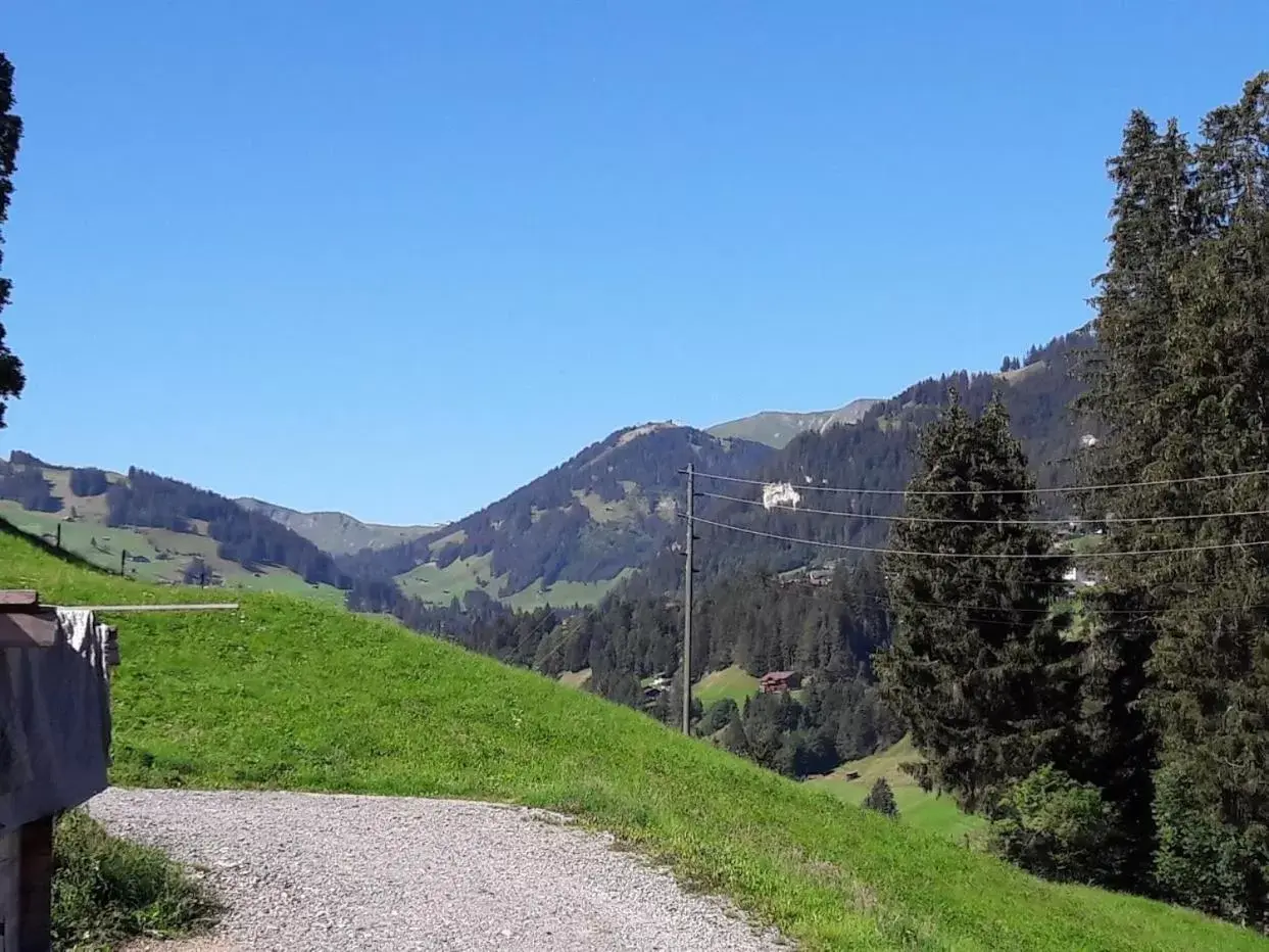 Natural landscape in Ferien in der Bergwelt von Adelboden