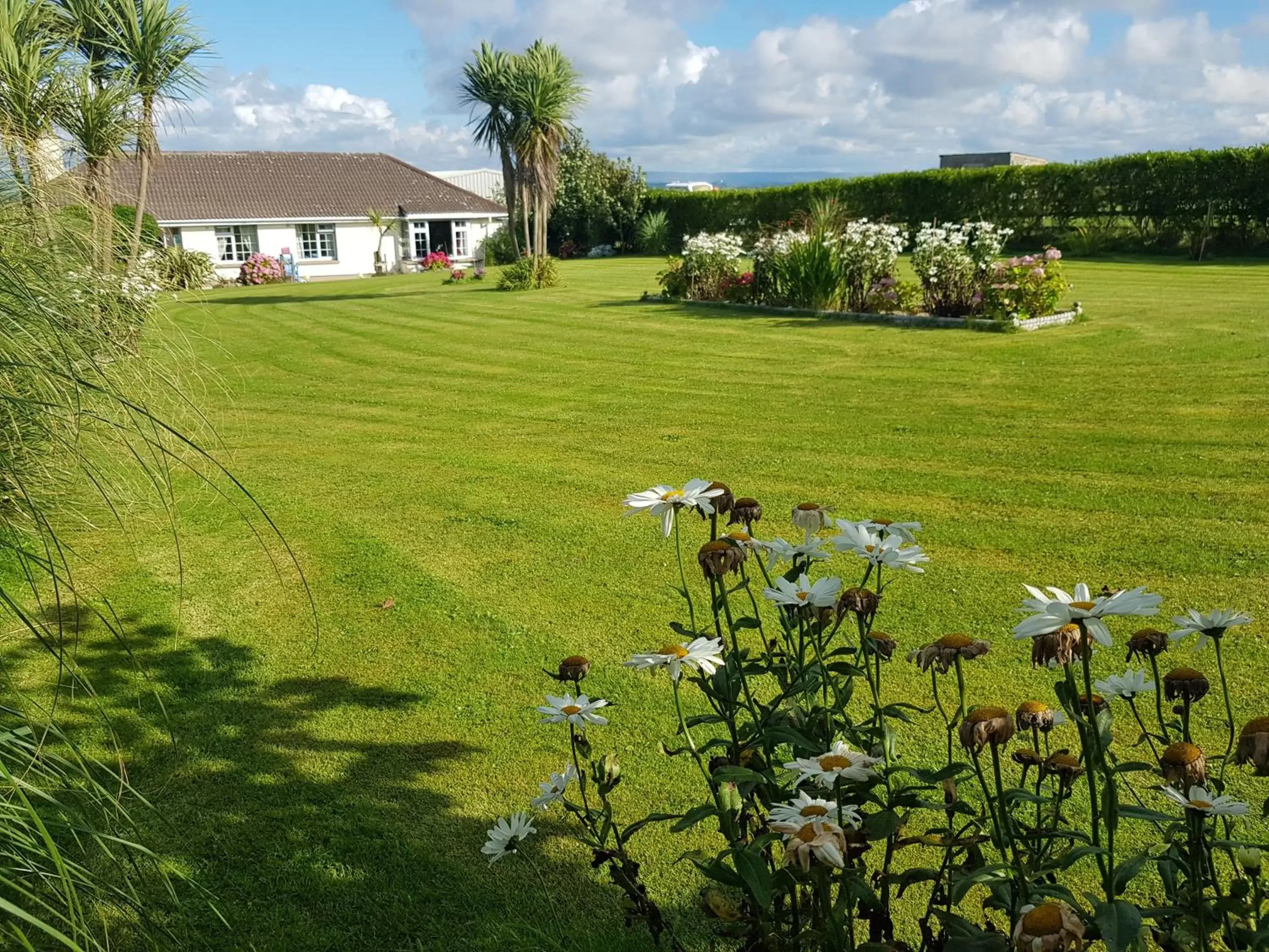 Garden in Sunrise view