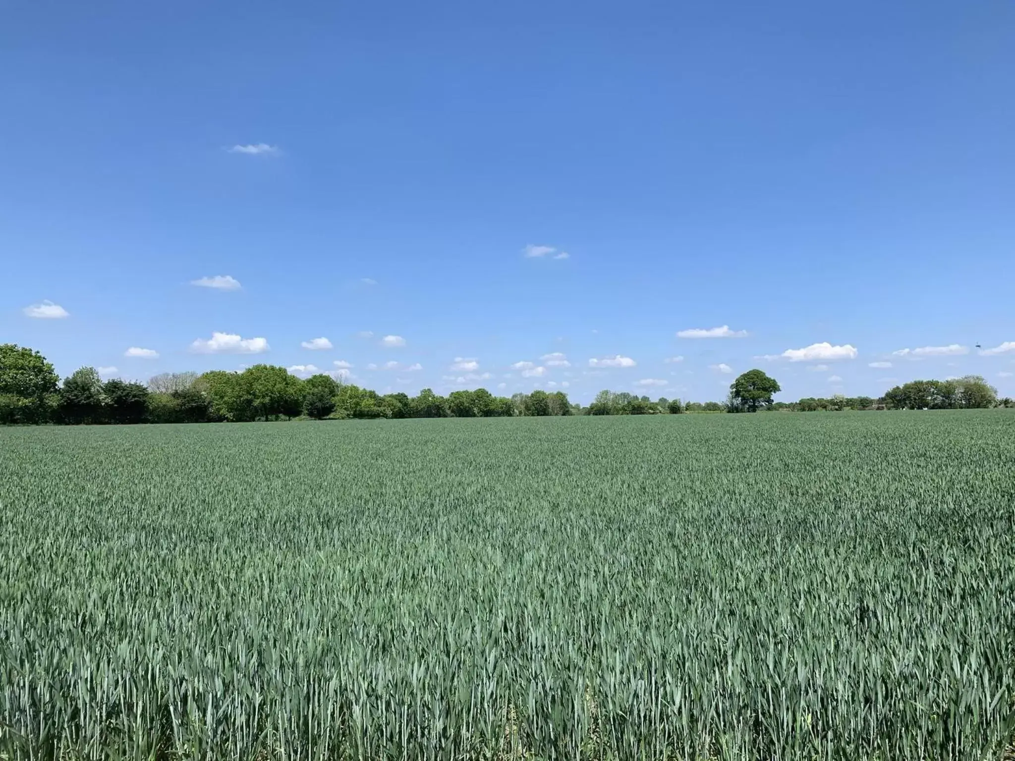 View (from property/room), Natural Landscape in The Kings Arms