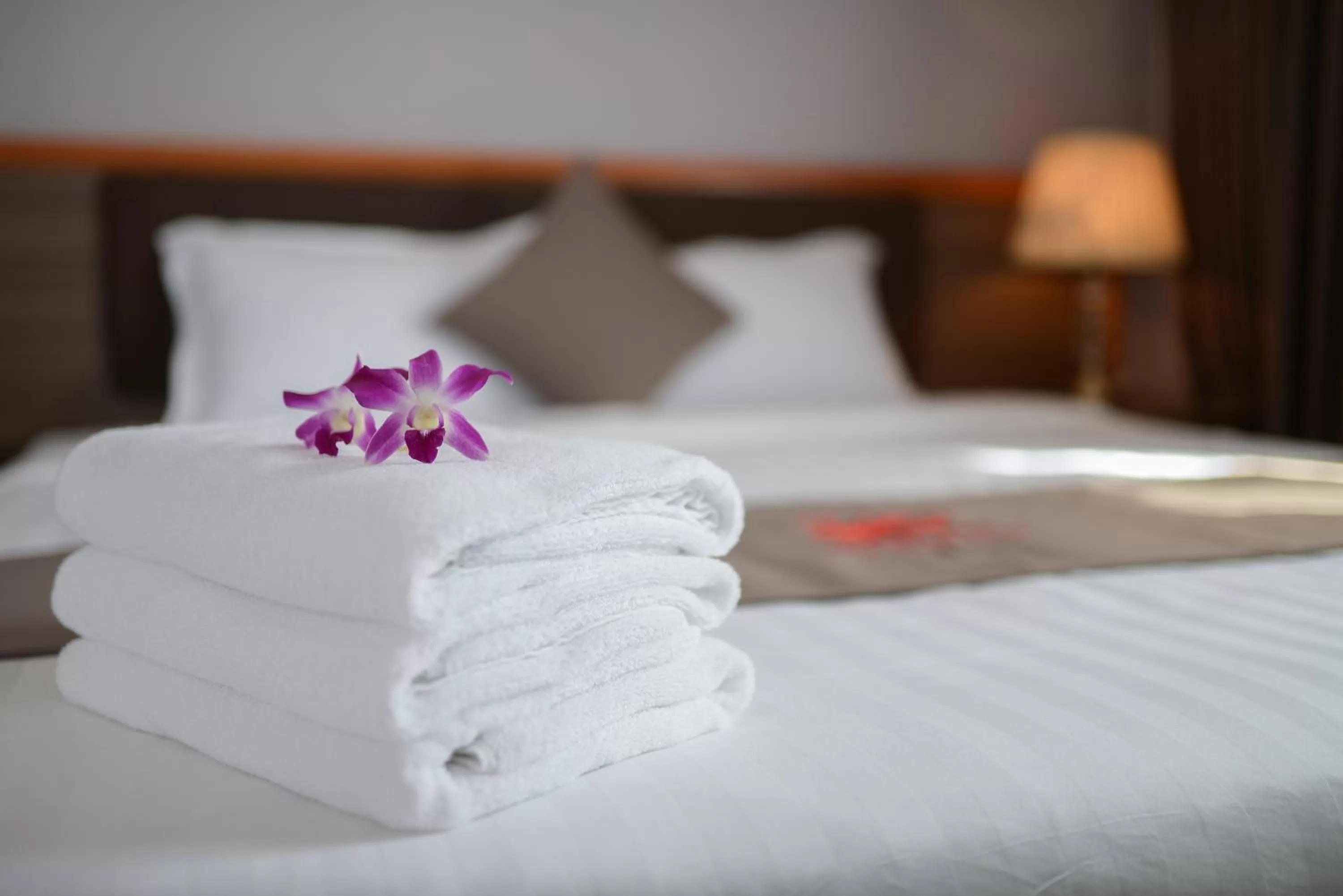 Bed in Khách sạn San Hô Vũng Tàu (Coral Hotel)