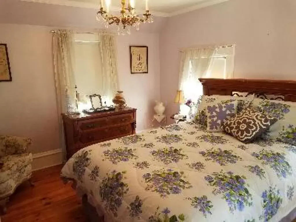 Queen Room with Shared Bathroom in Dragonfly Bed and Breakfast